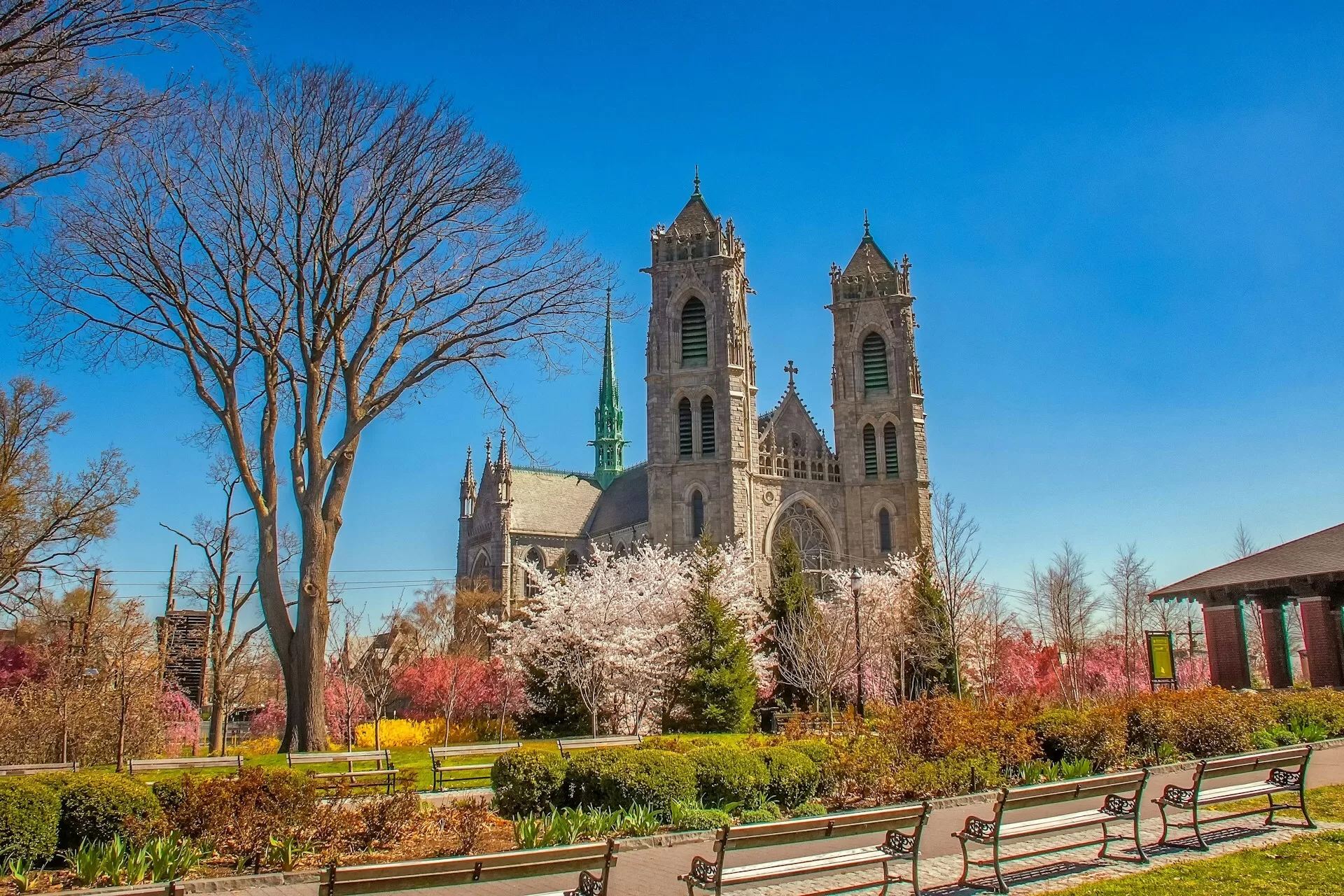 Cathedral Basilica of the Sacred Heart in Newark, New Jersey