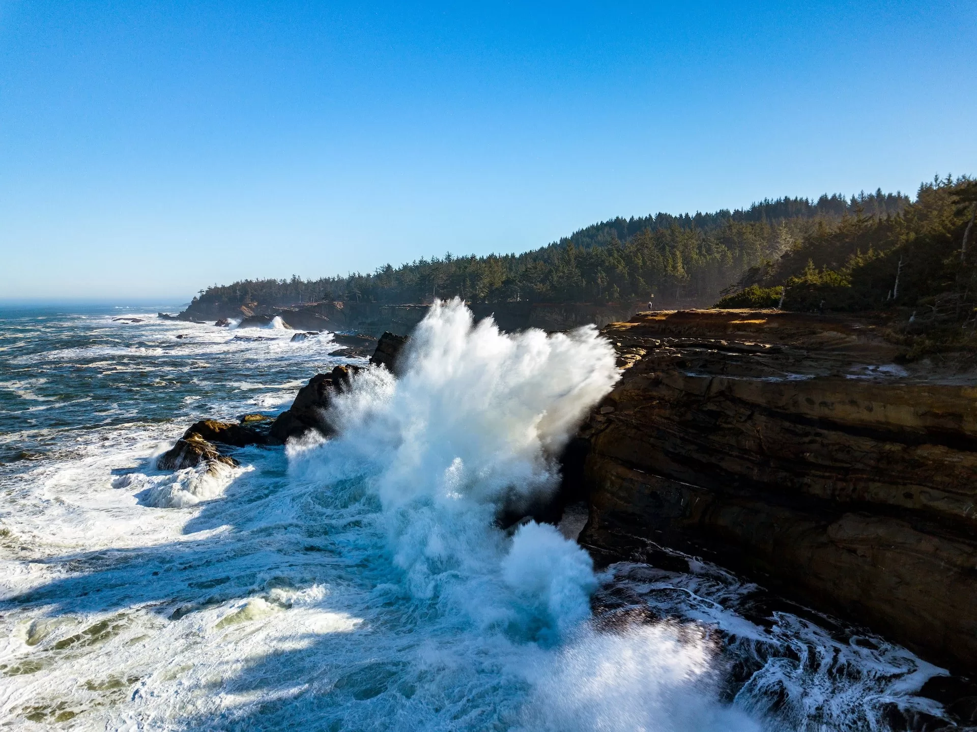 Golven komen tegen de rotsen in Shore Acres State Park, Coos Bay