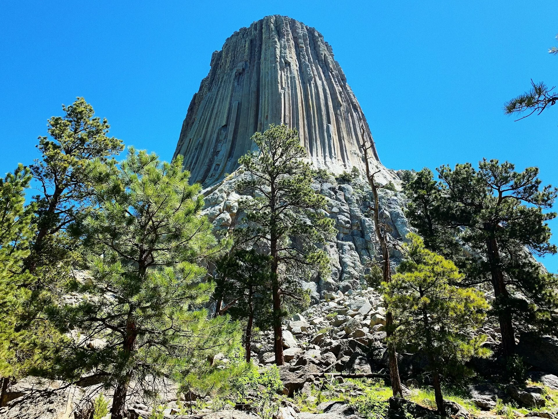 De rotsen van Devils Tower National Monument in Keystone
