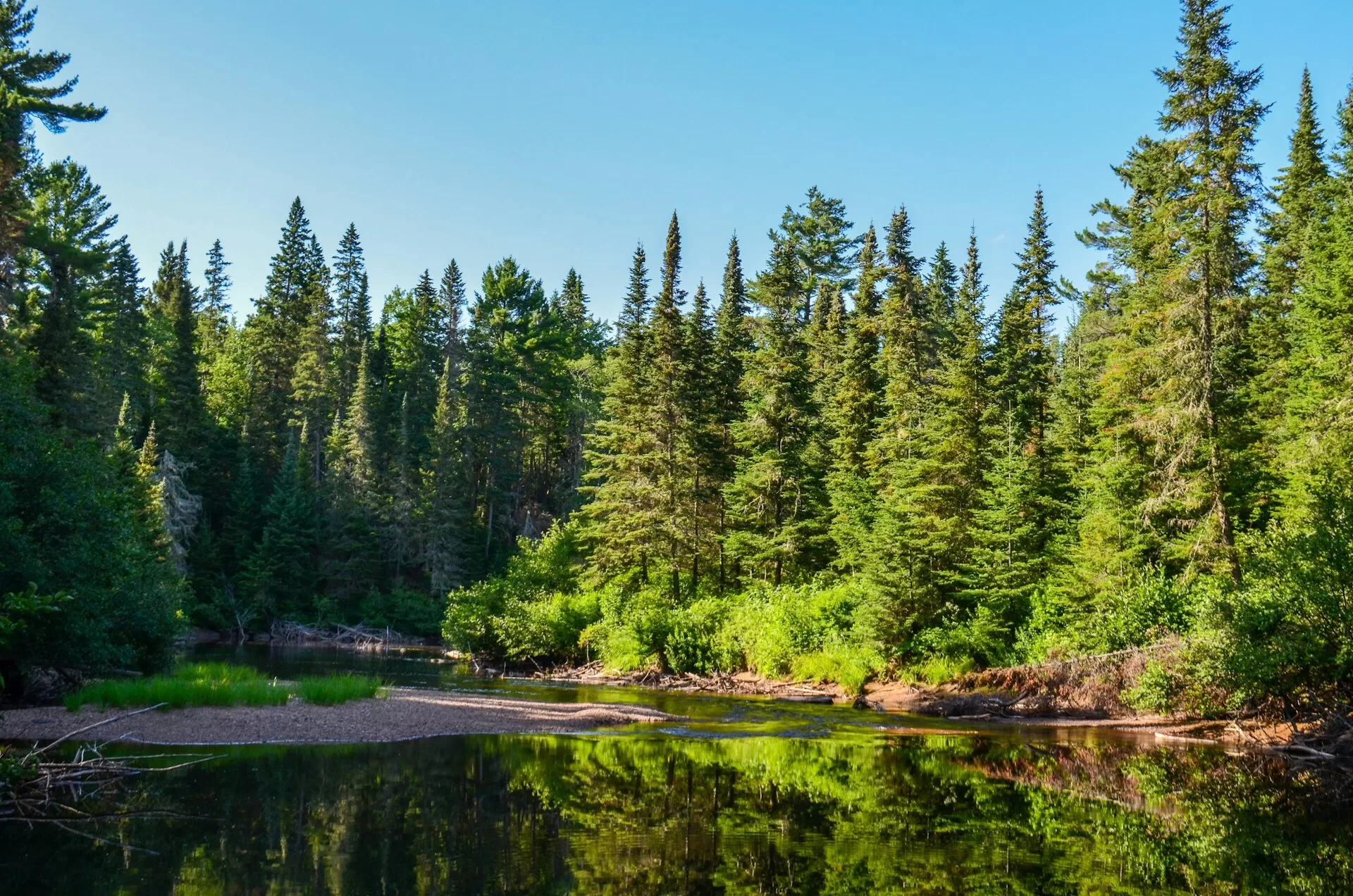 Algonquin Provincial Park in Pembroke, Ontario