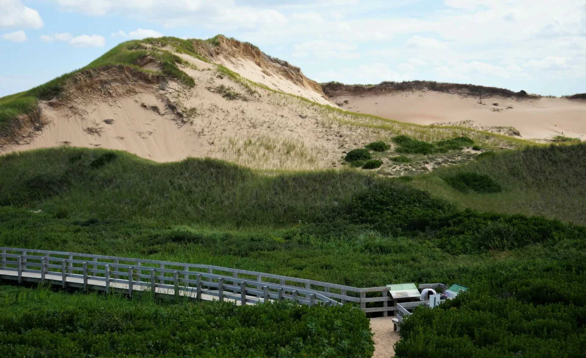 Groene duinen in Cavendish, Prince Edward Island