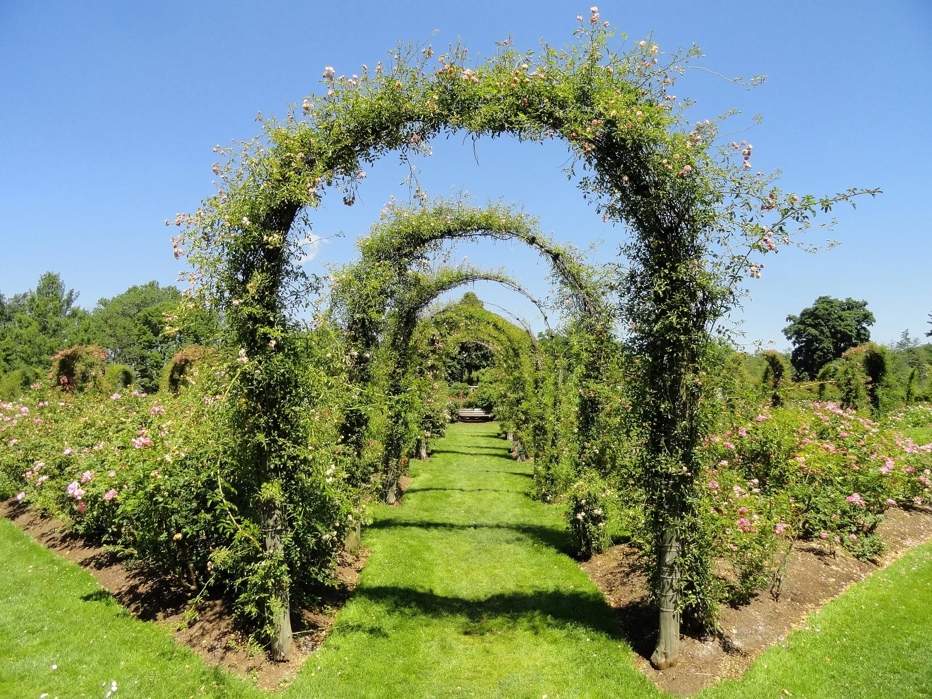 Bogen met groen en bloemen in een botanische tuin in Hartford