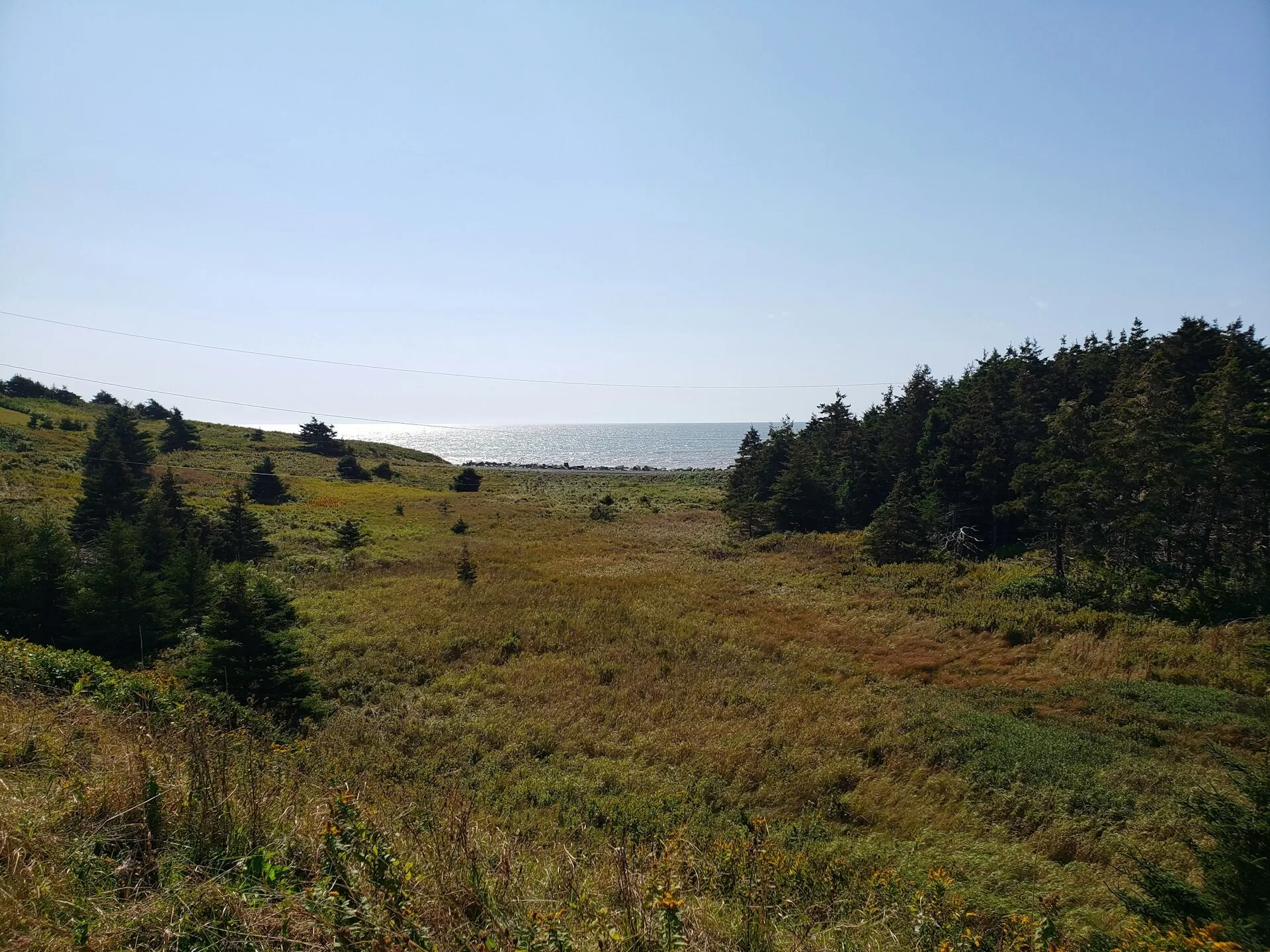 Heidevlaktes met de zee op de achtergrond in Yarmouth, Nova Scotia