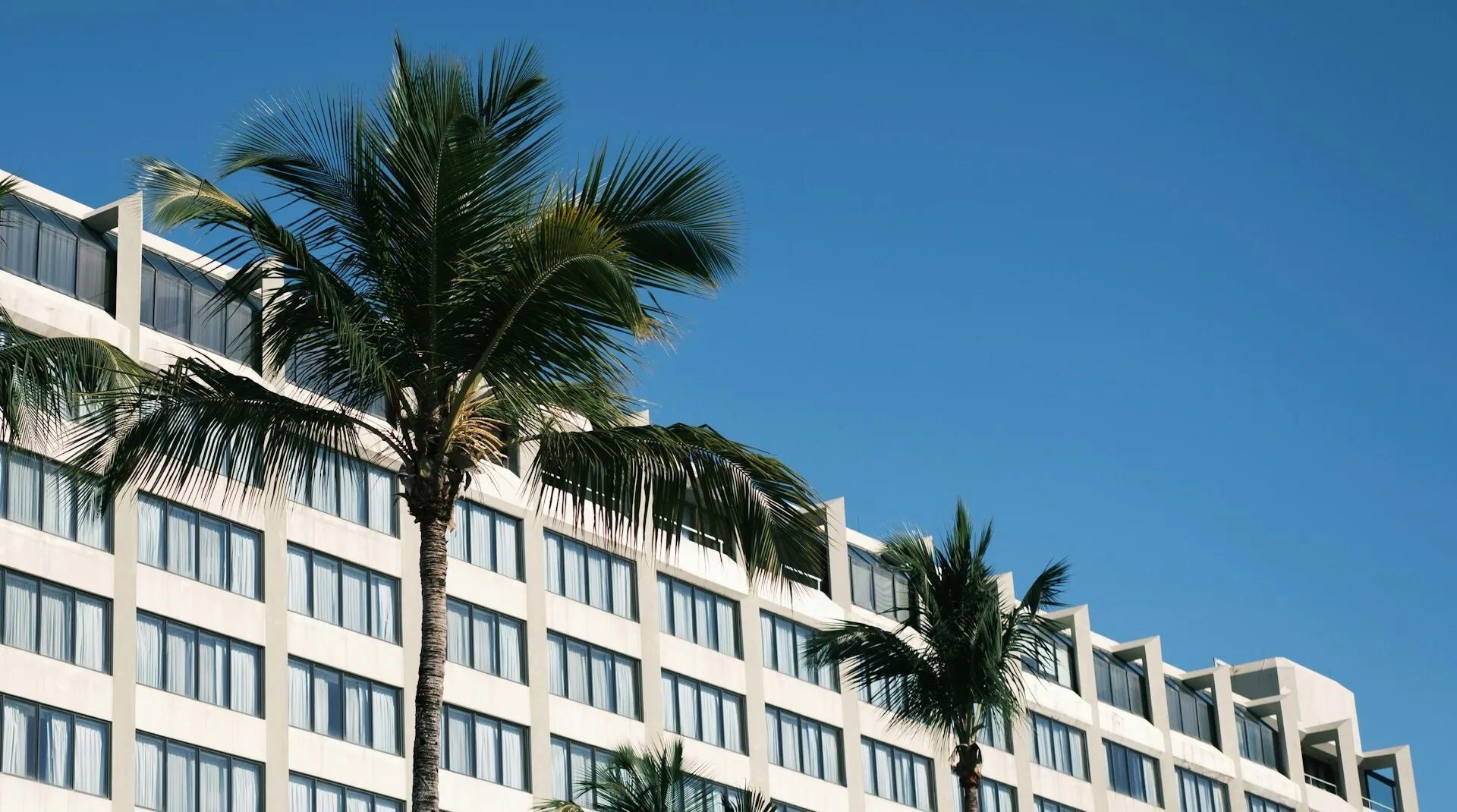 Hotelgevel achter wuivende palmbomen in Miami