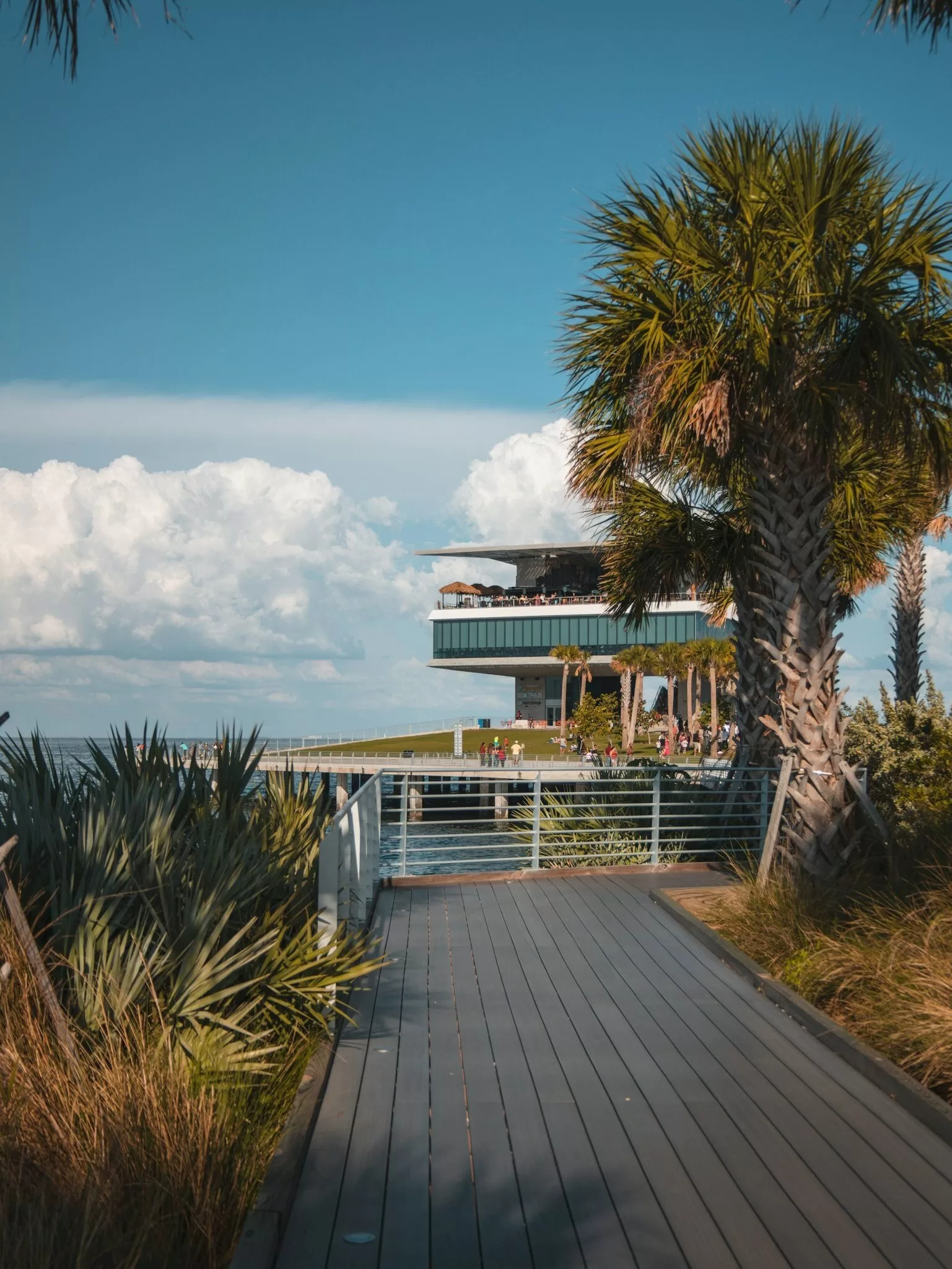 Een looppad met palmbomen naar de St. Pete Pier