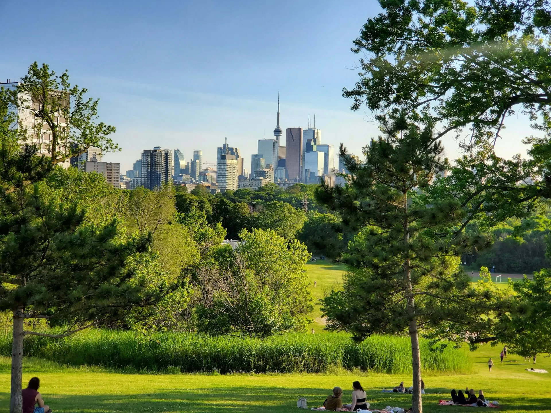 Uitzicht op de skyline van Toronto met het park op de voorgrond