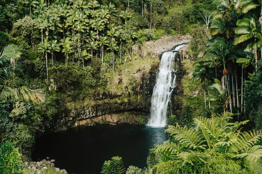 Een waterval dat uitloopt in een klein meertje in Hilo op Big Island