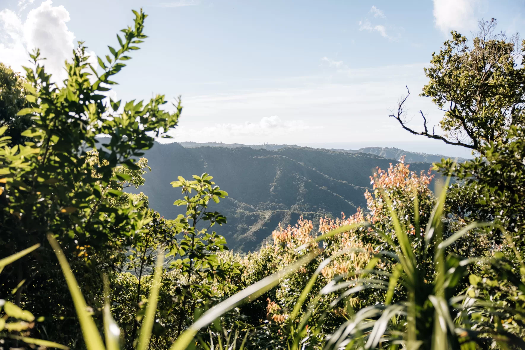 Uitzicht vanaf de Manoa Cliff Trail in Honolulu op Oahu