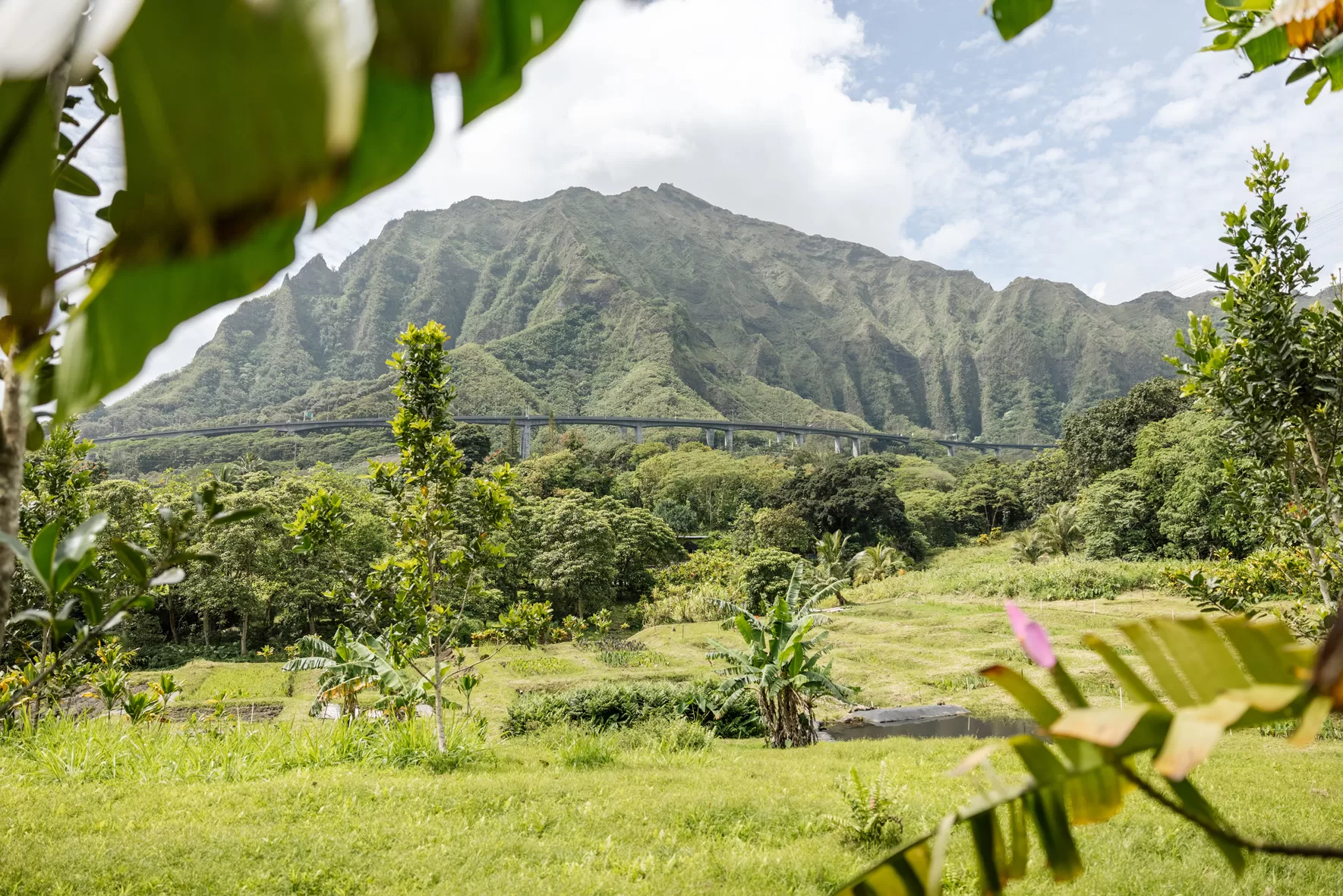 De natuur van Papahana Kuaola Kaneohe op Oahu