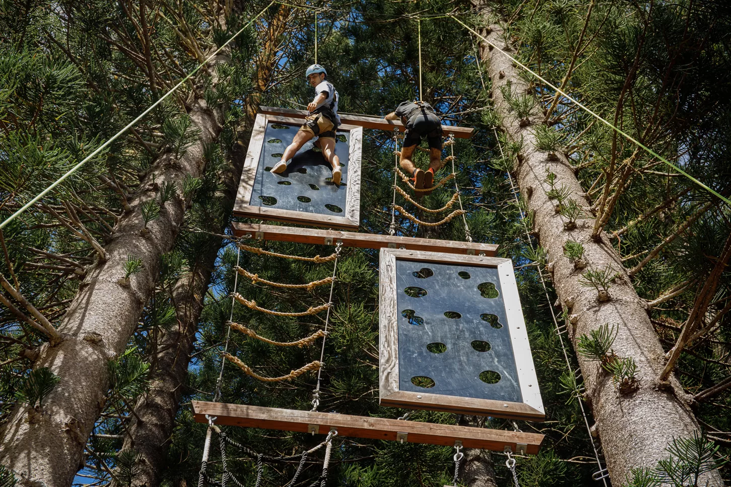 Het klimbos van het Lanai Adventure Park