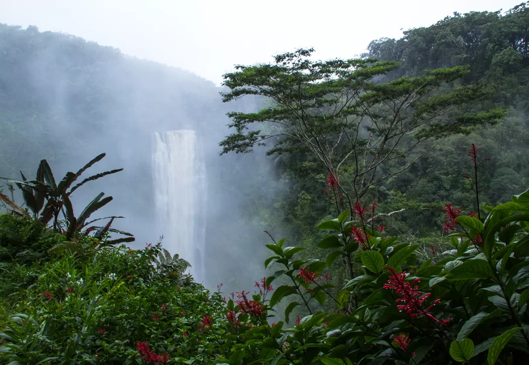 De waterval Rainbow Falls in Hilo op Big Island Hawaii