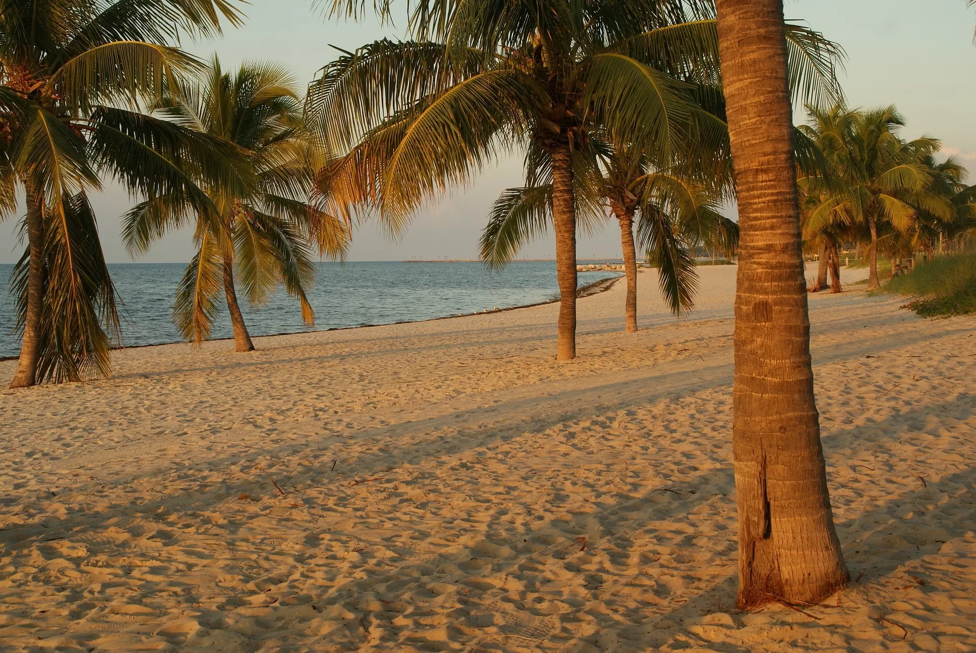 Palmbomen op het strand op Key West