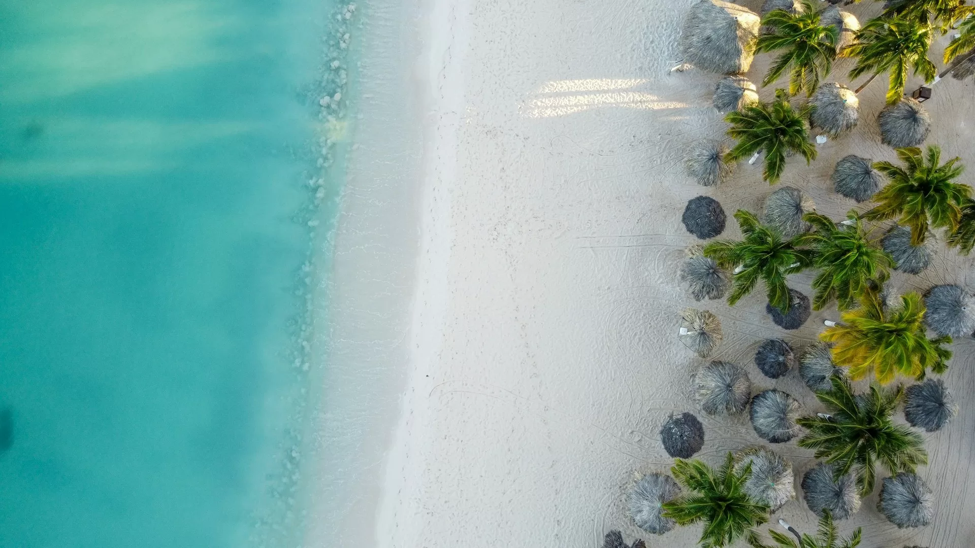 Wit zand en palmbomen op Palm Beach, Aruba