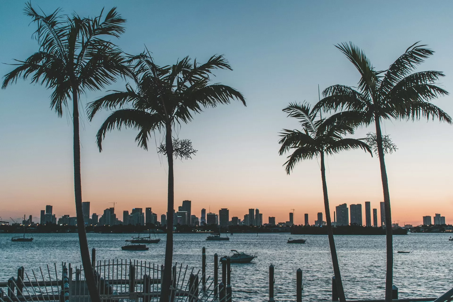 De skyline van Miami bij ondergaande zon met palmen en water op de voorgrond