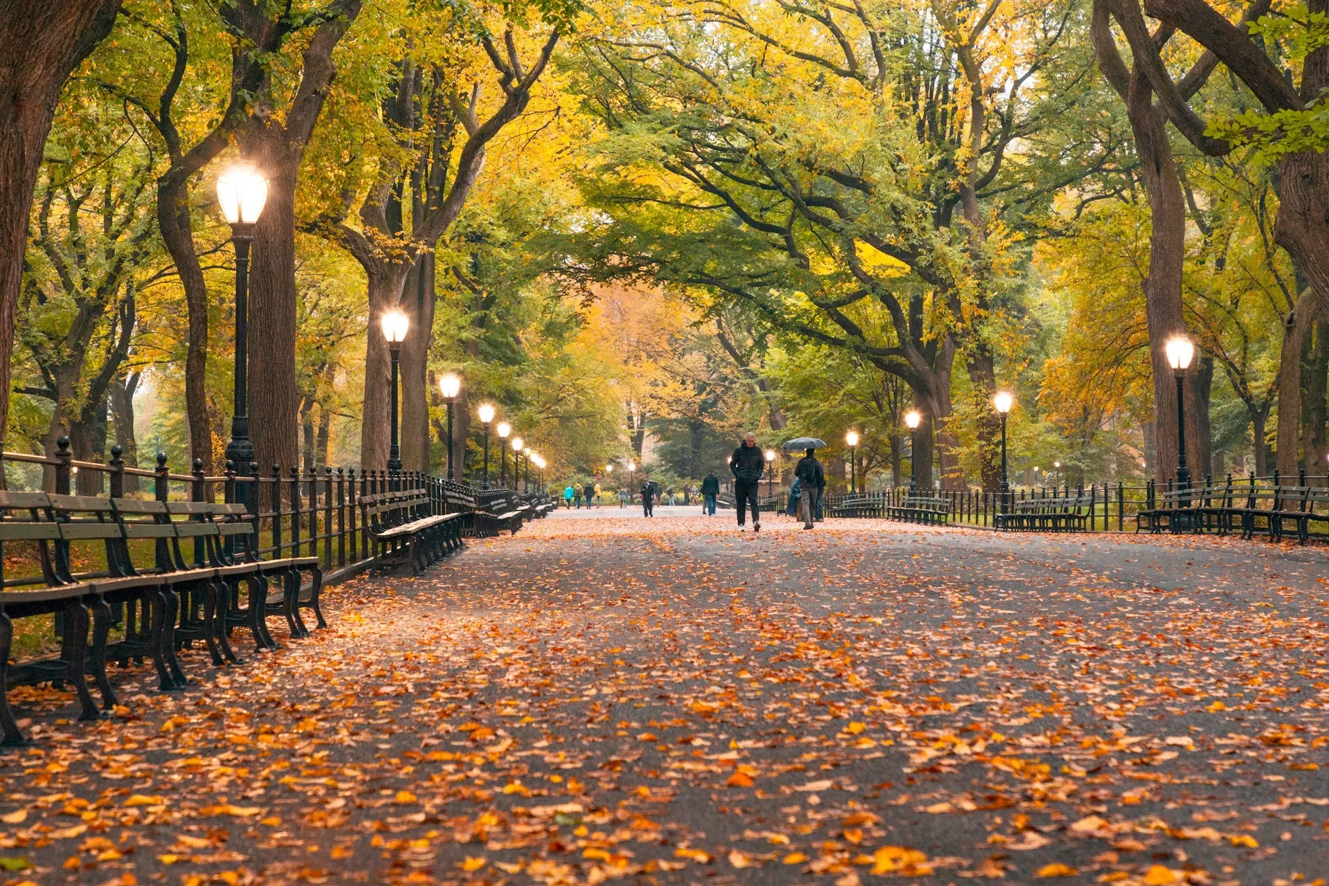 Wandelpad met herfstbladeren in Central Park New York