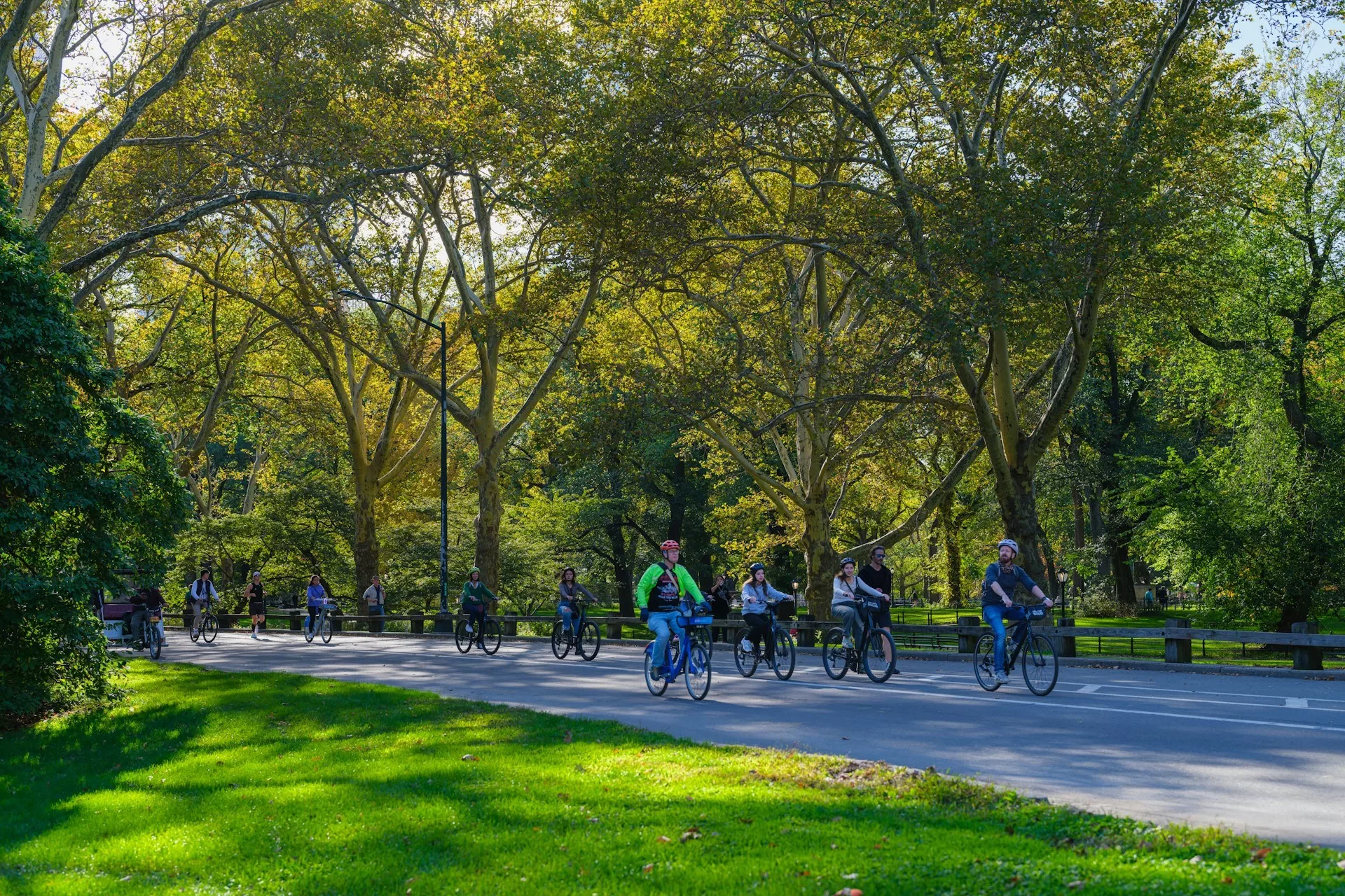 Fietsers rijden door Central Park op een zonnige dag, omringd door groen en bomen