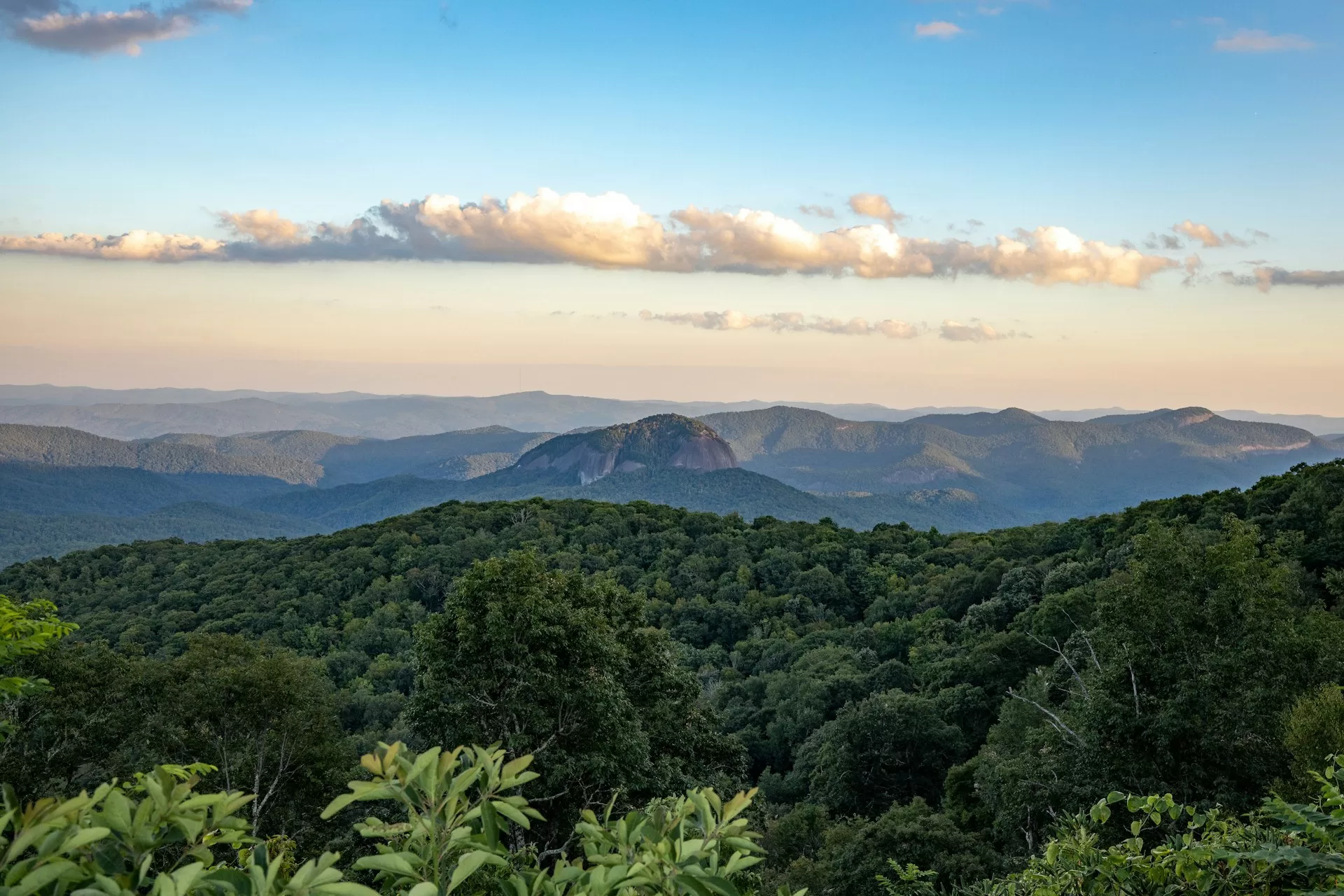 Uitzicht over de bossen van Asheville vanaf Looking Glass Rock