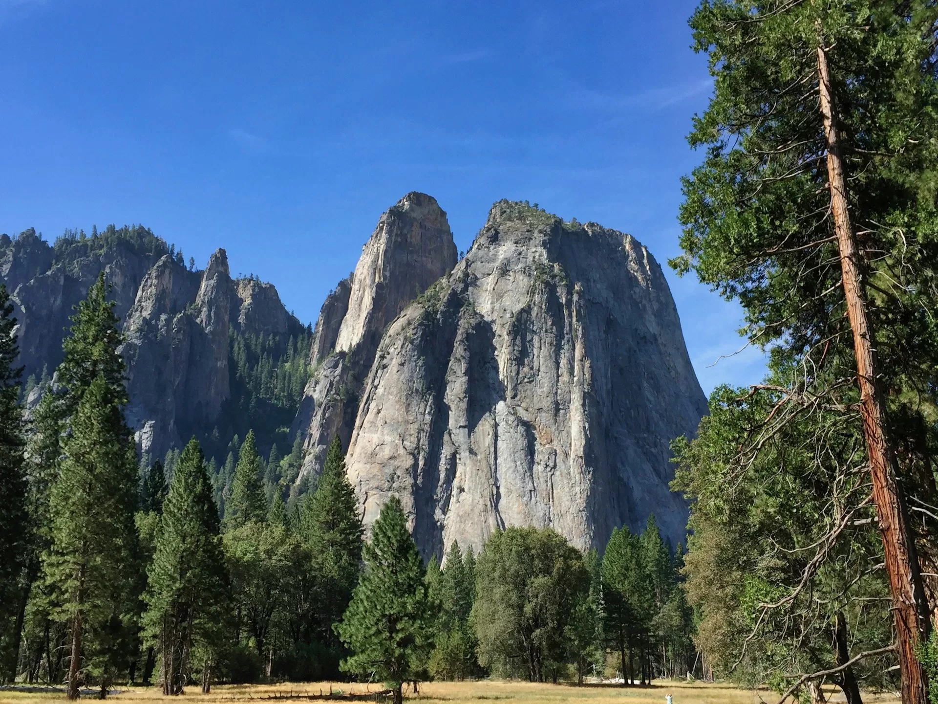 Grijze rotsmassieven in Yosemite National Park Californië