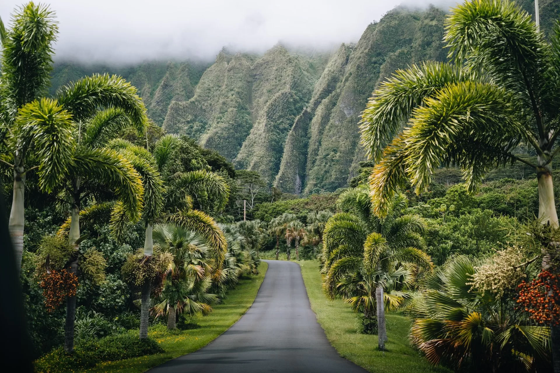 Oahu, Hawaii, een weg met weelderige bossen en groen begroeide bergen
