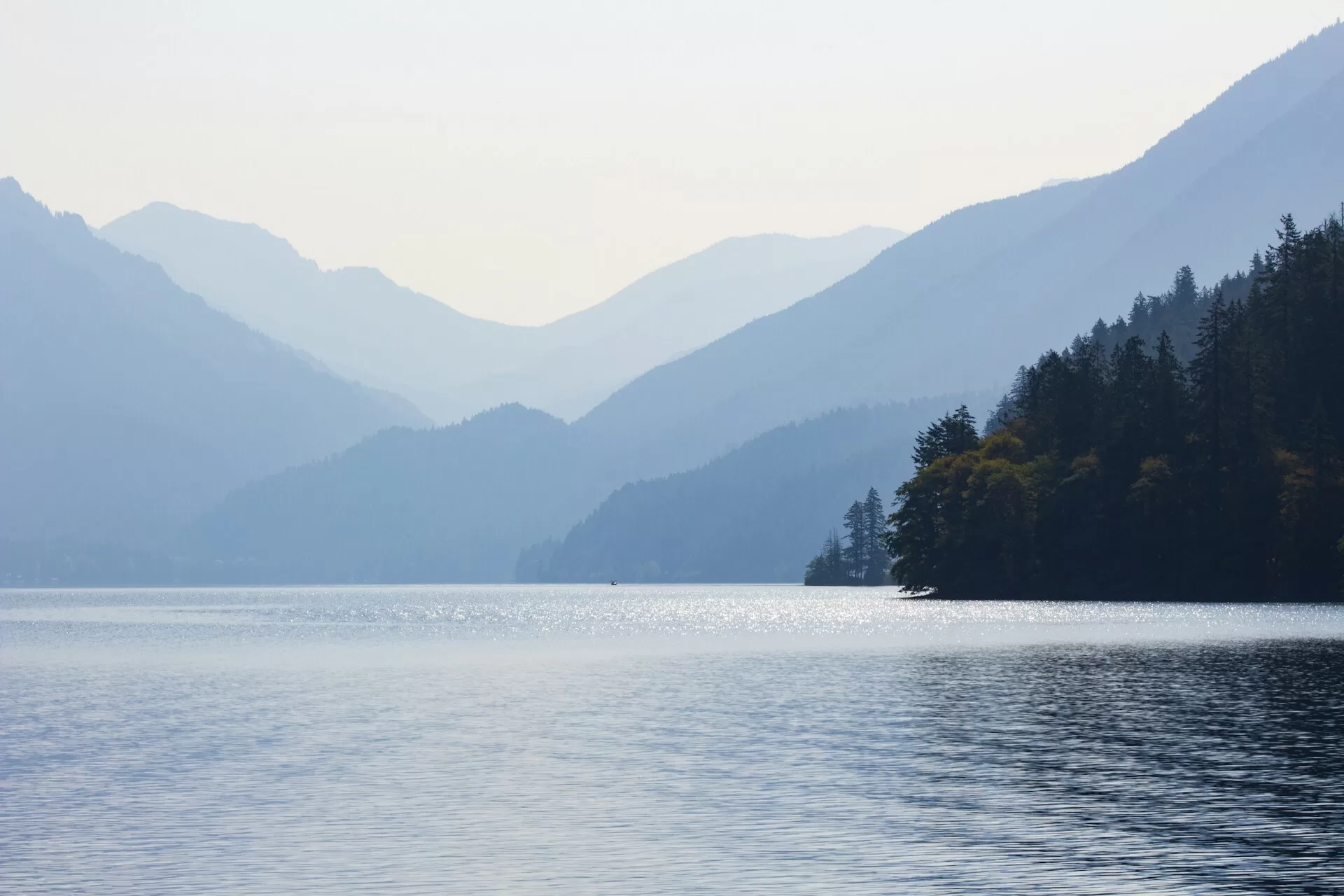 Het helderblauwe water van Lake Crescent in Olympic National Park