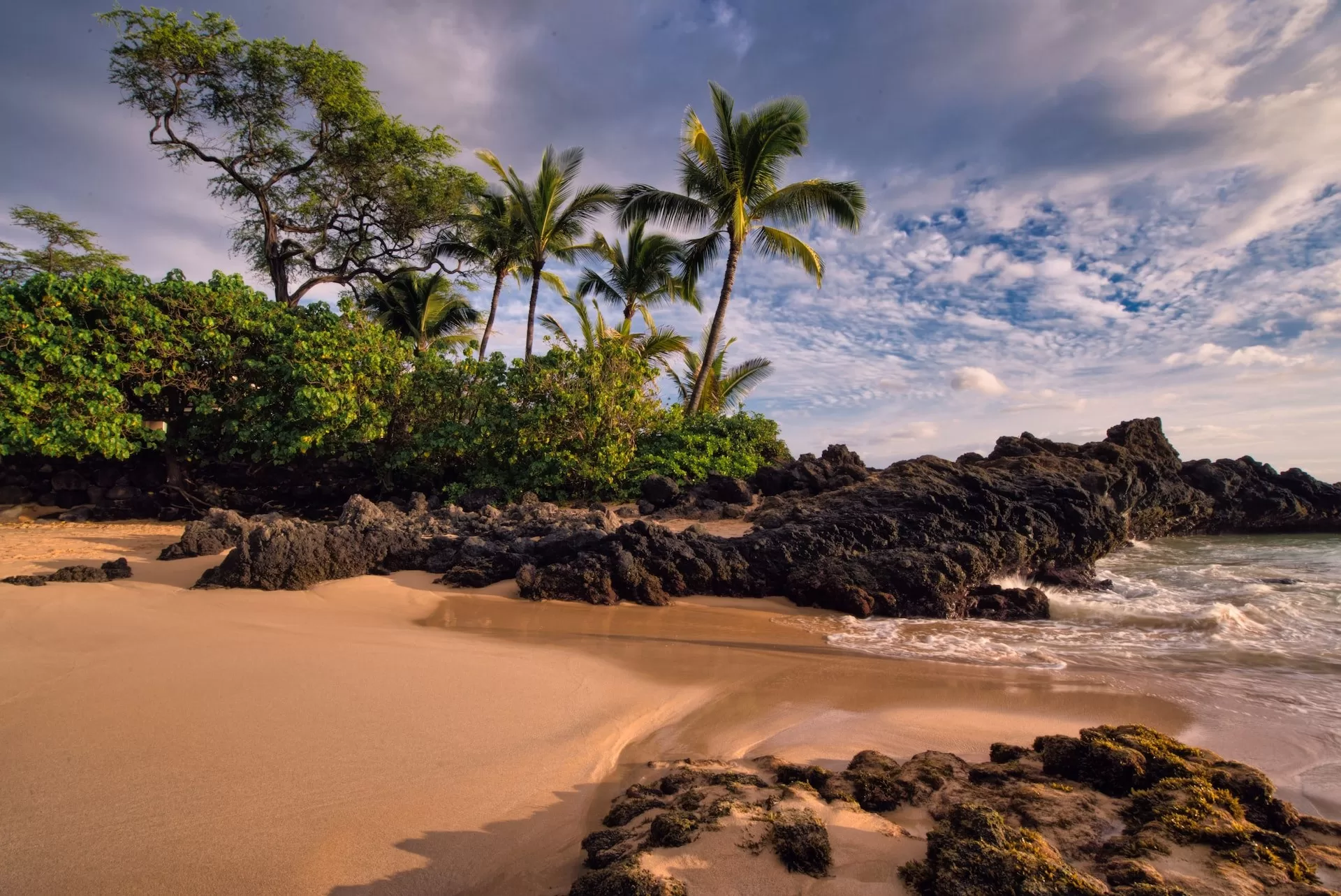 Verlaten strand met palmen, gouden strand en zwarte rotsen op Maui, Hawaii