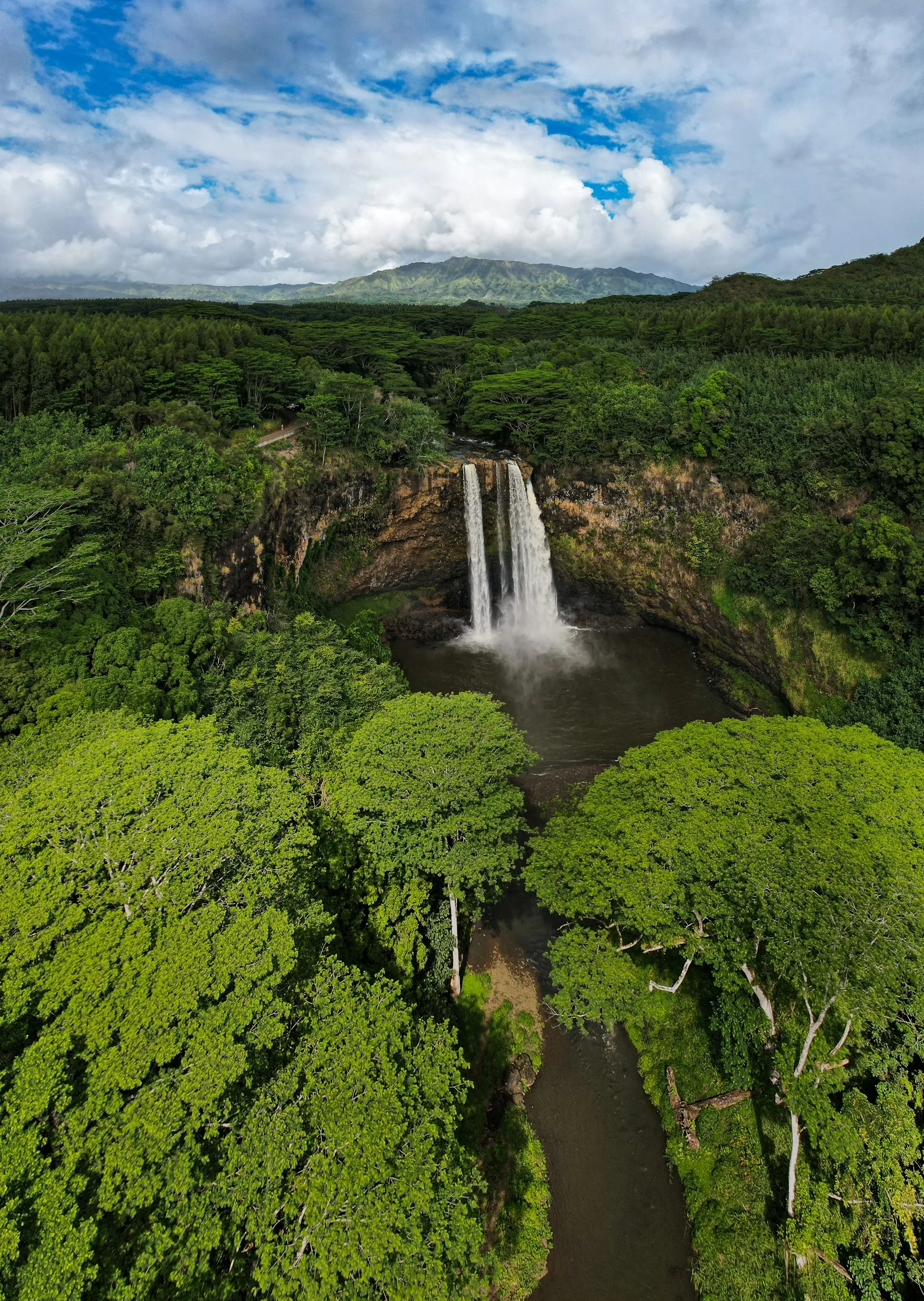 Uitzicht op de waterval en groene regenwoud op het eiland Kauai Hawaii
