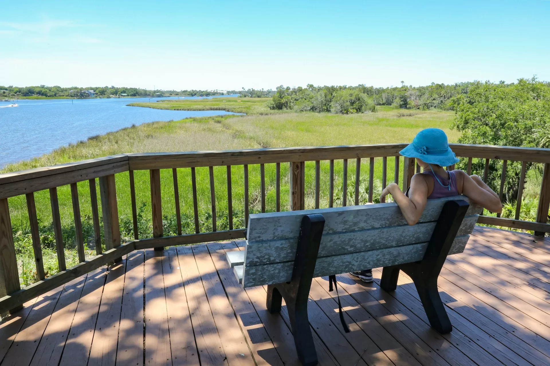 Uitzicht over de natuur in het Crystal River Preserve State Park