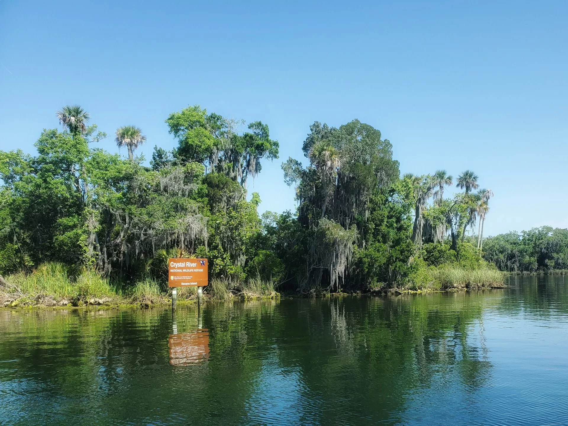 Een rivier met bomen aan de oever in het Crystal River Nature Preserve