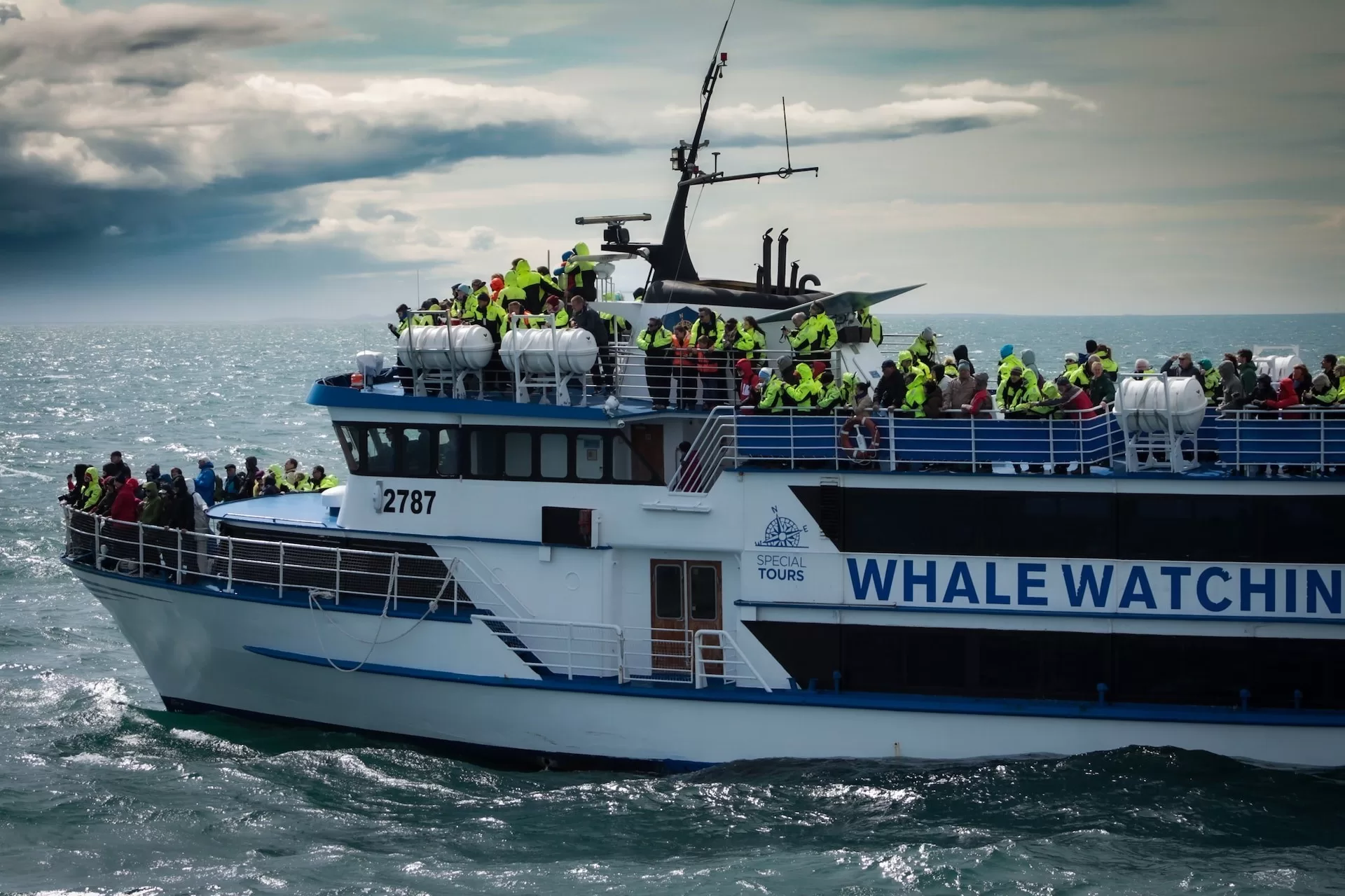 Een boot met mensen die walvissen gaan spotten in de oceaan