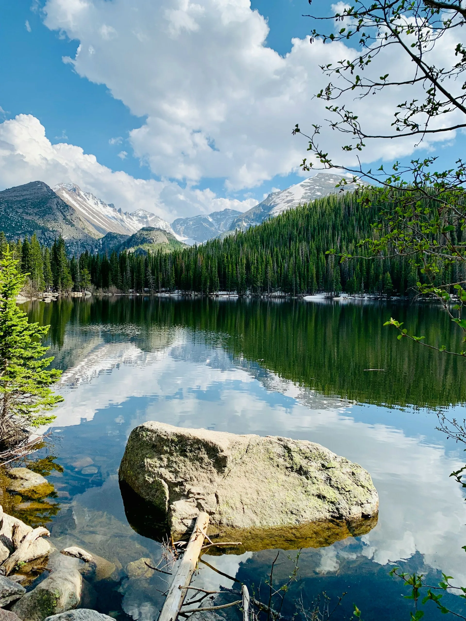Bear Lake in Rocky Mountain National Park met bergen en bos op de achtergrond