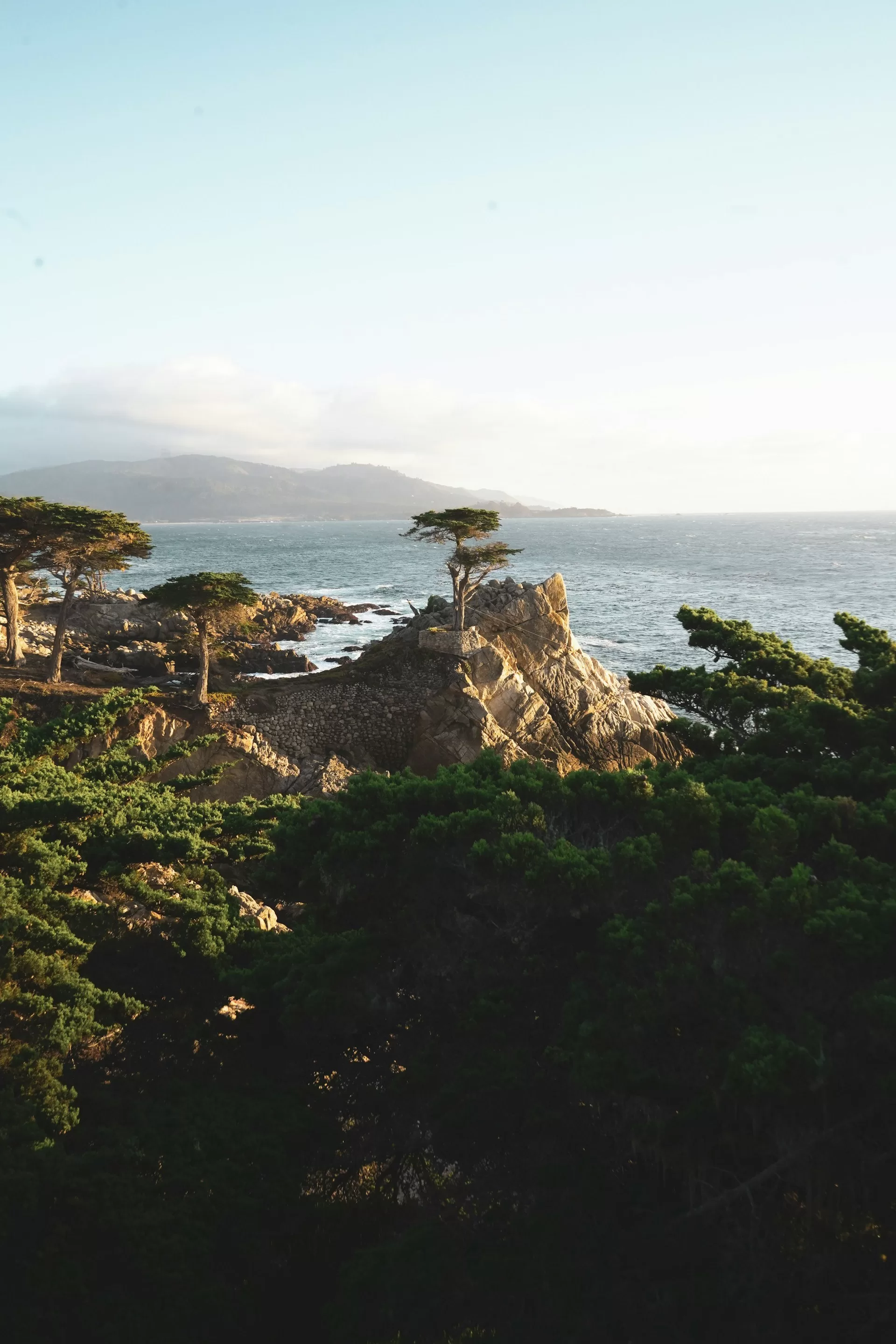 Cypress bomen op rotsen aan de kust van Monterey in Californië