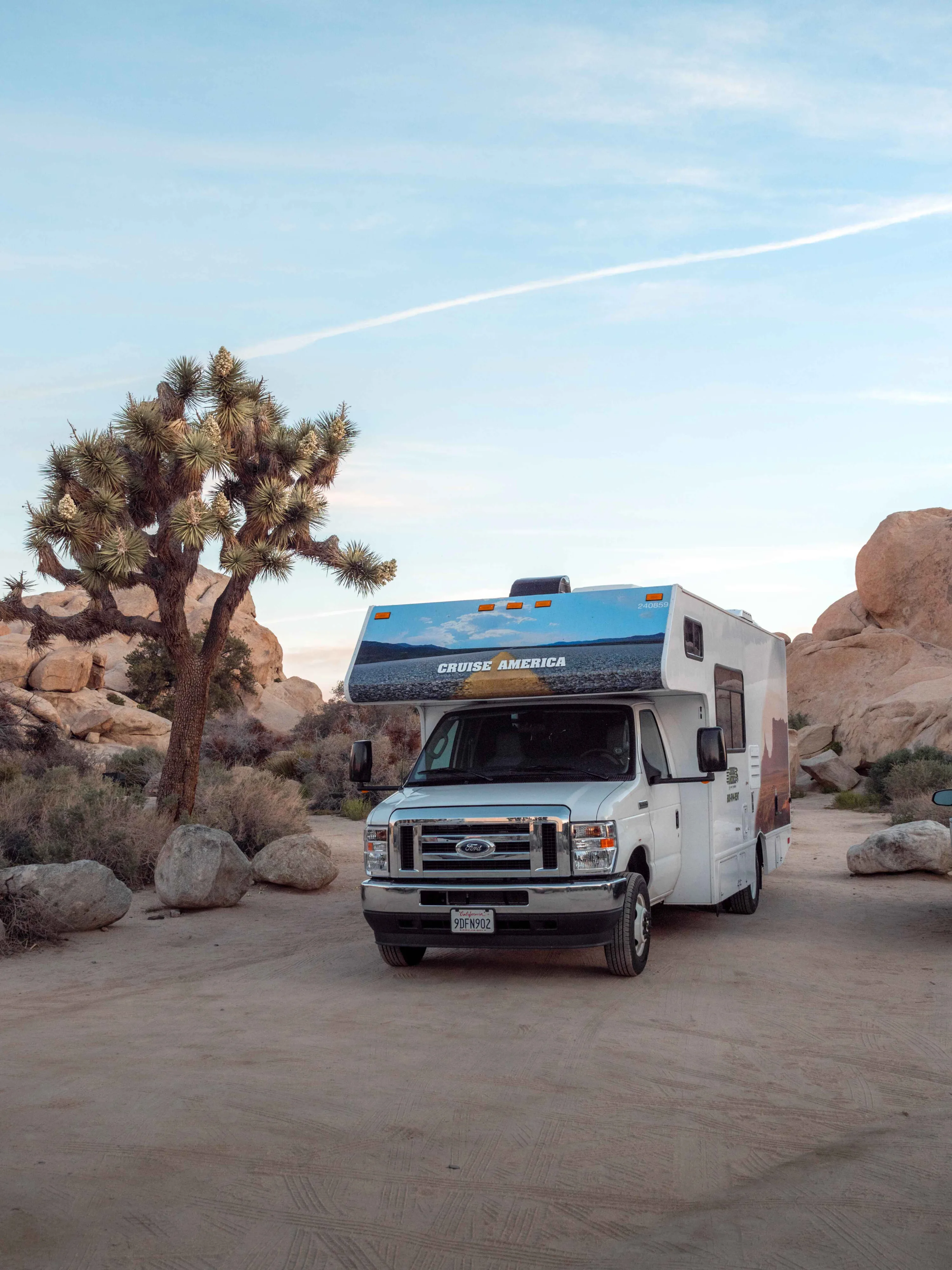 Cruise America camper naast een Joshua tree in een nationaal park in West-USA.