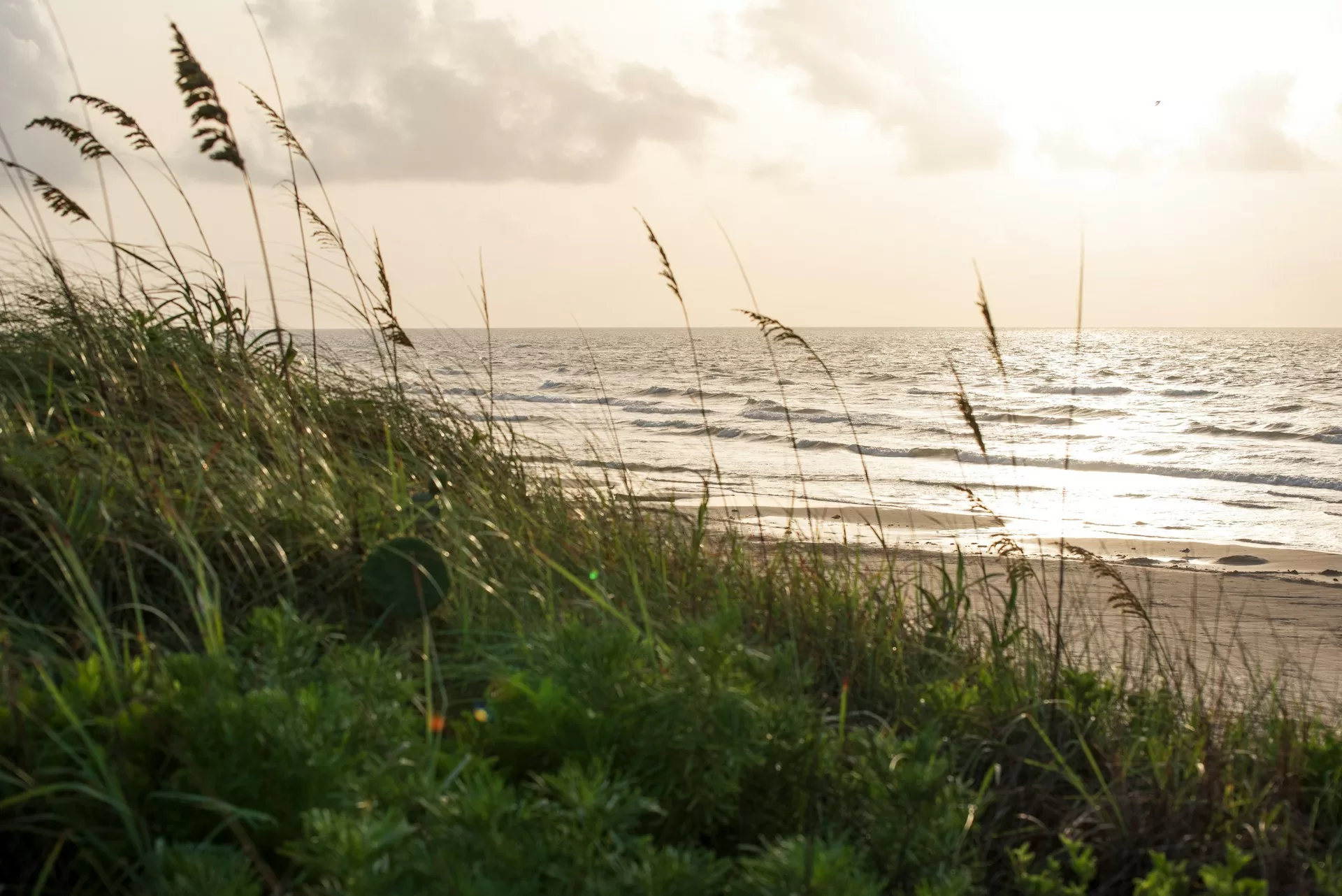 Het strand van Mustang Island nabij Corpus Christi