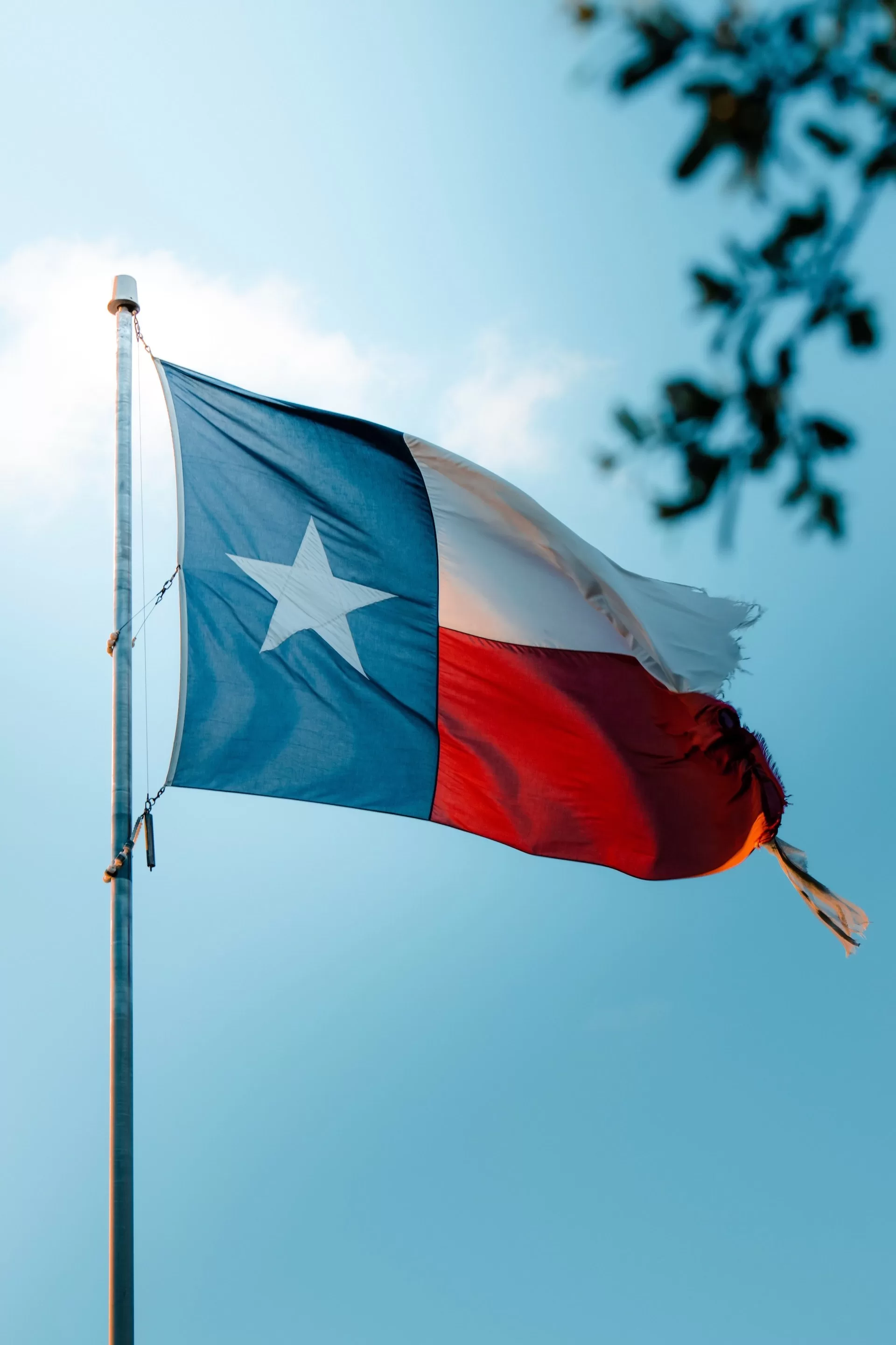 De Texaanse vlag