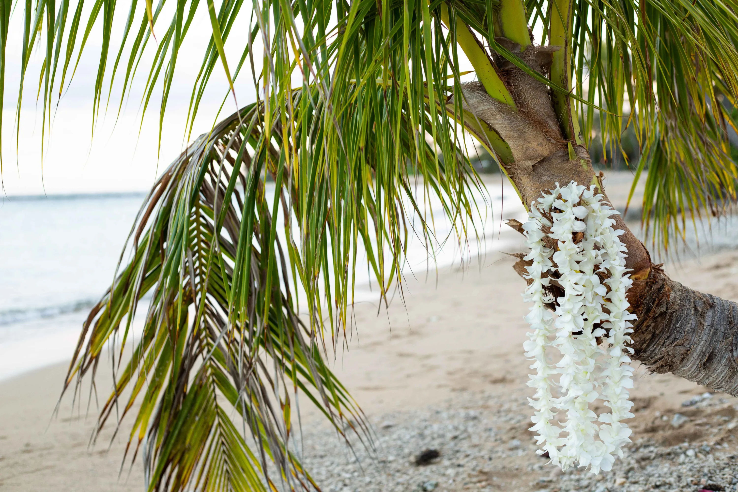 Bloemenkransen die gebruikt worden op een bruiloft aan een palmboom op een strand op Hawaii