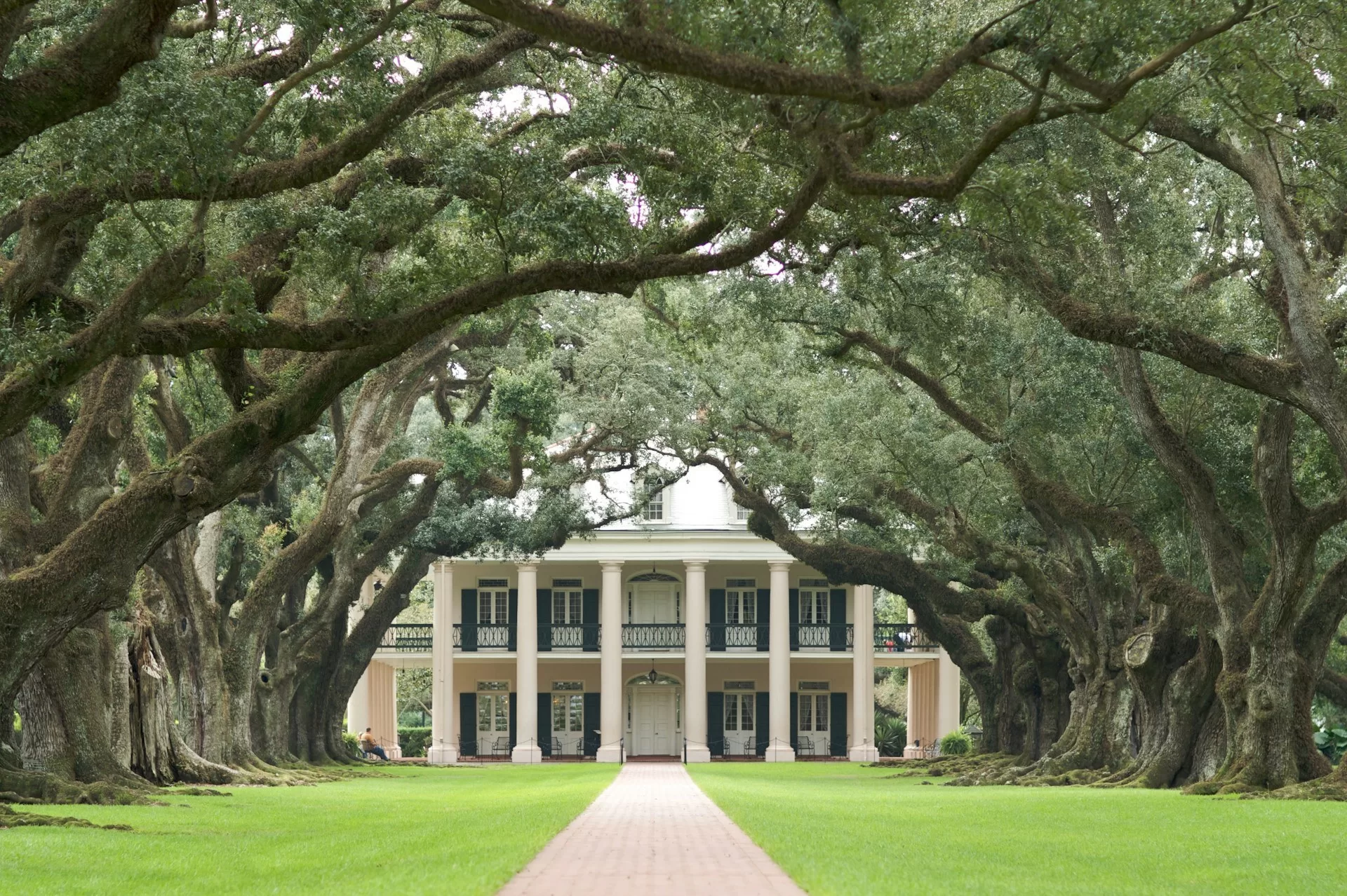 De typerende eikenbomen van de Deep South op de oprijlaan van de Oak Alley Plantation in New Orleans