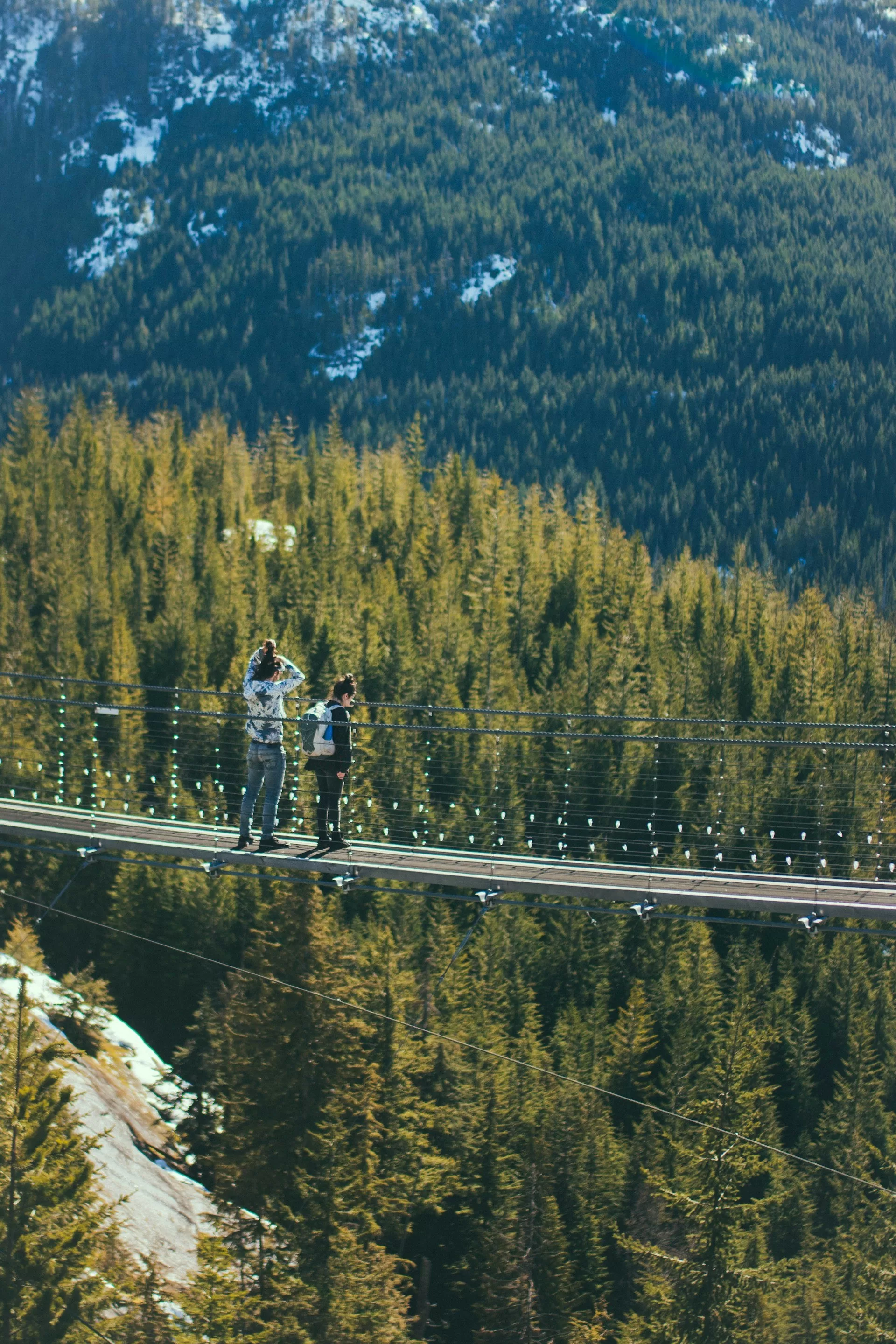 Suspension Bridge over de bossen van Whistler in Canada