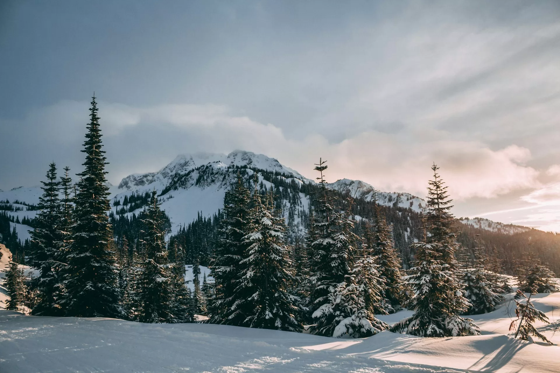 Besneeuwde bomen en bergen in het skigebied van Whistler