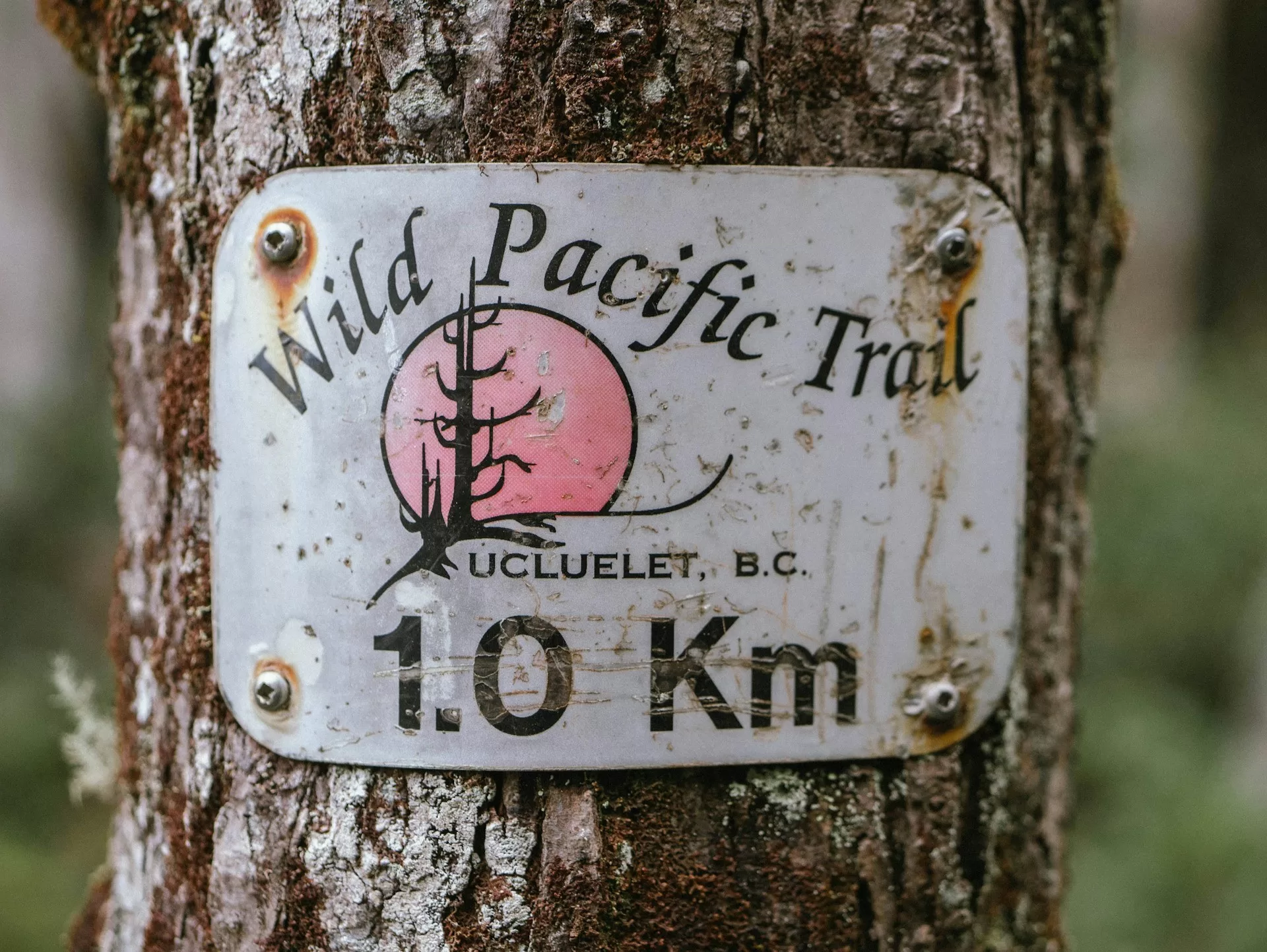 Routebord met 1.0 km aanduiding op de Wild Pacific Trail Ucluelet Canada