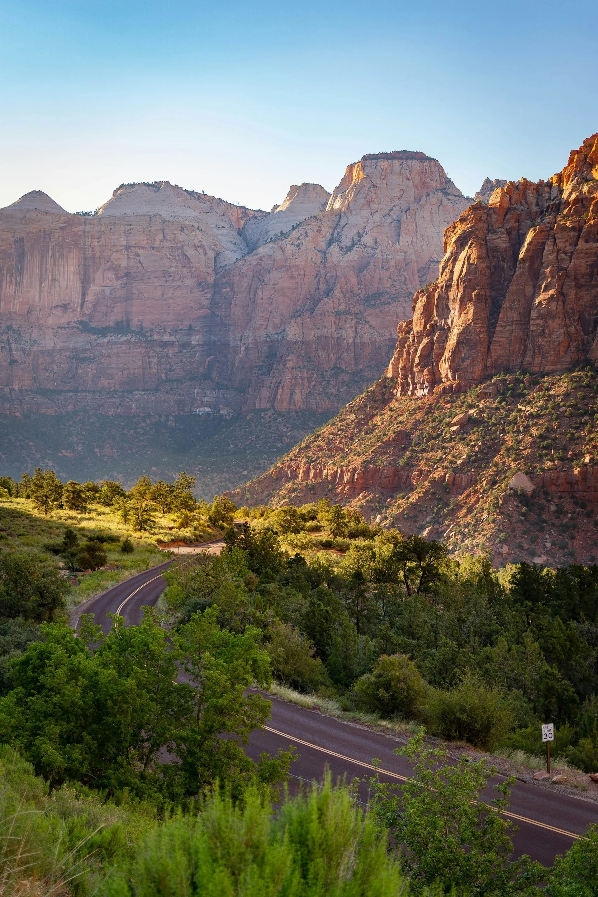 Uitzicht op de weg door Zion National Park in Utah Amerika