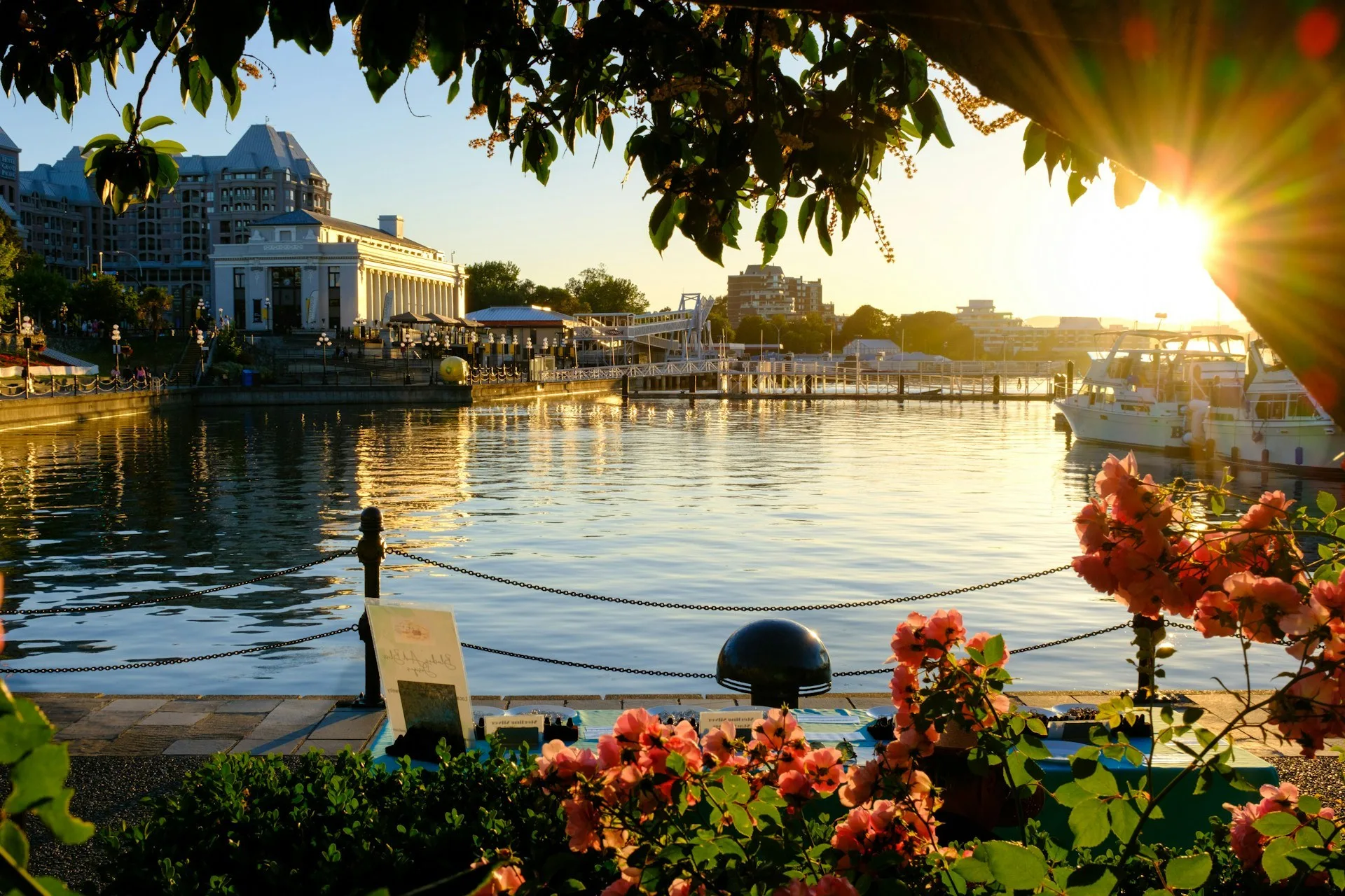 Uitzicht over de Victoria Harbor tijdens zonsondergang met bloemen op de voorgrond