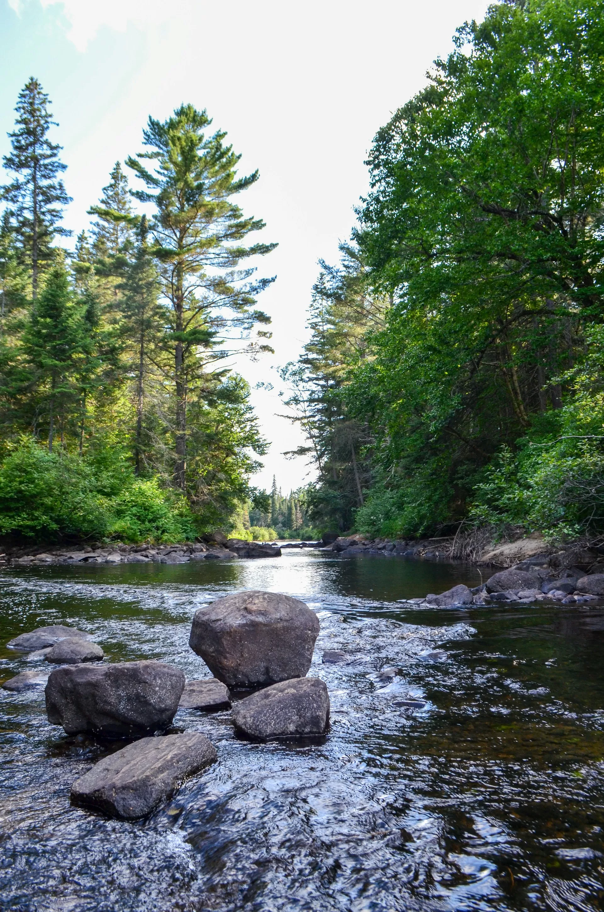 Een stromend beekje in Algonquin Provincial Park, Ontario