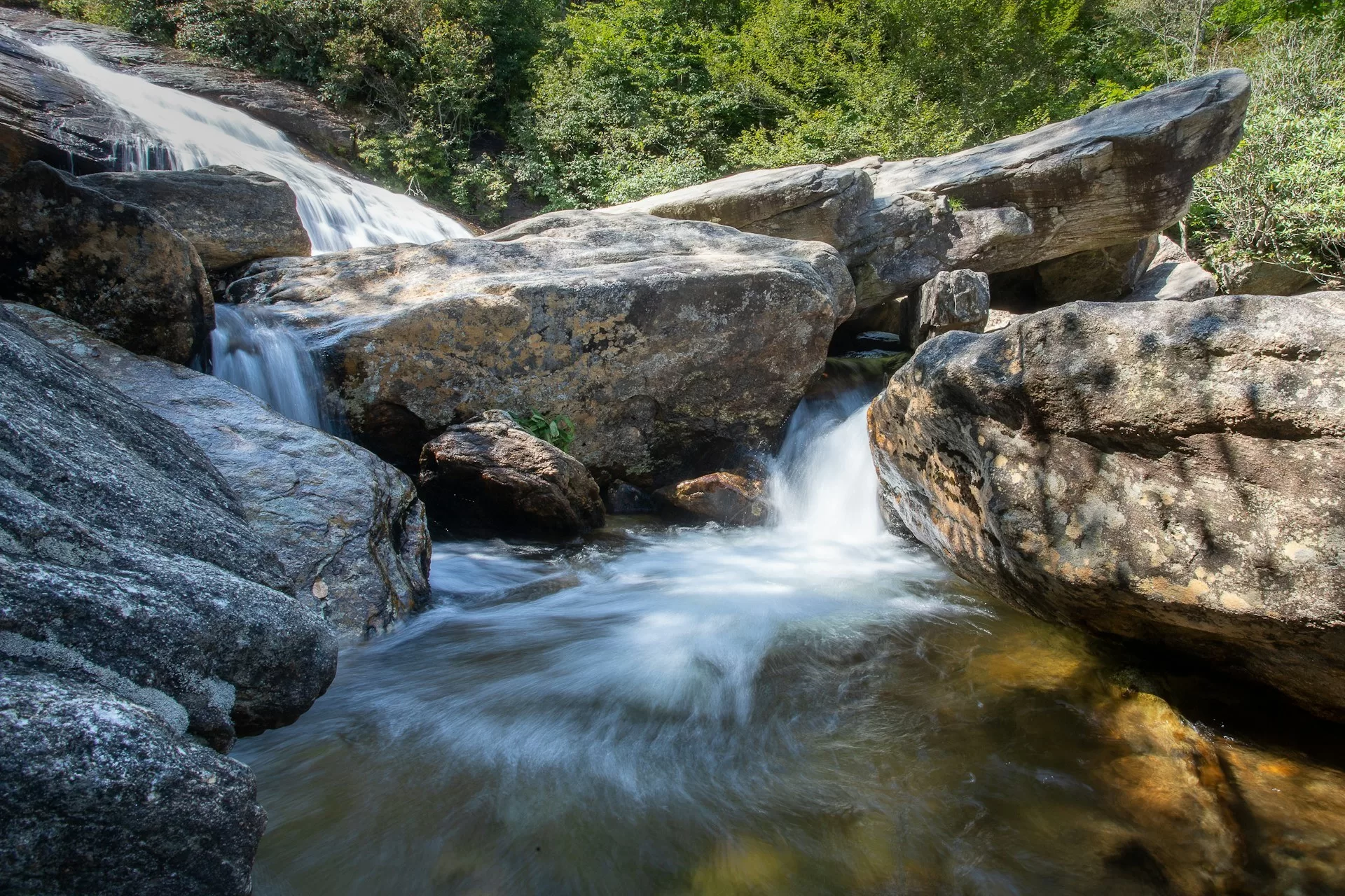Een stromende beek in Great Smoky Mountains National Park