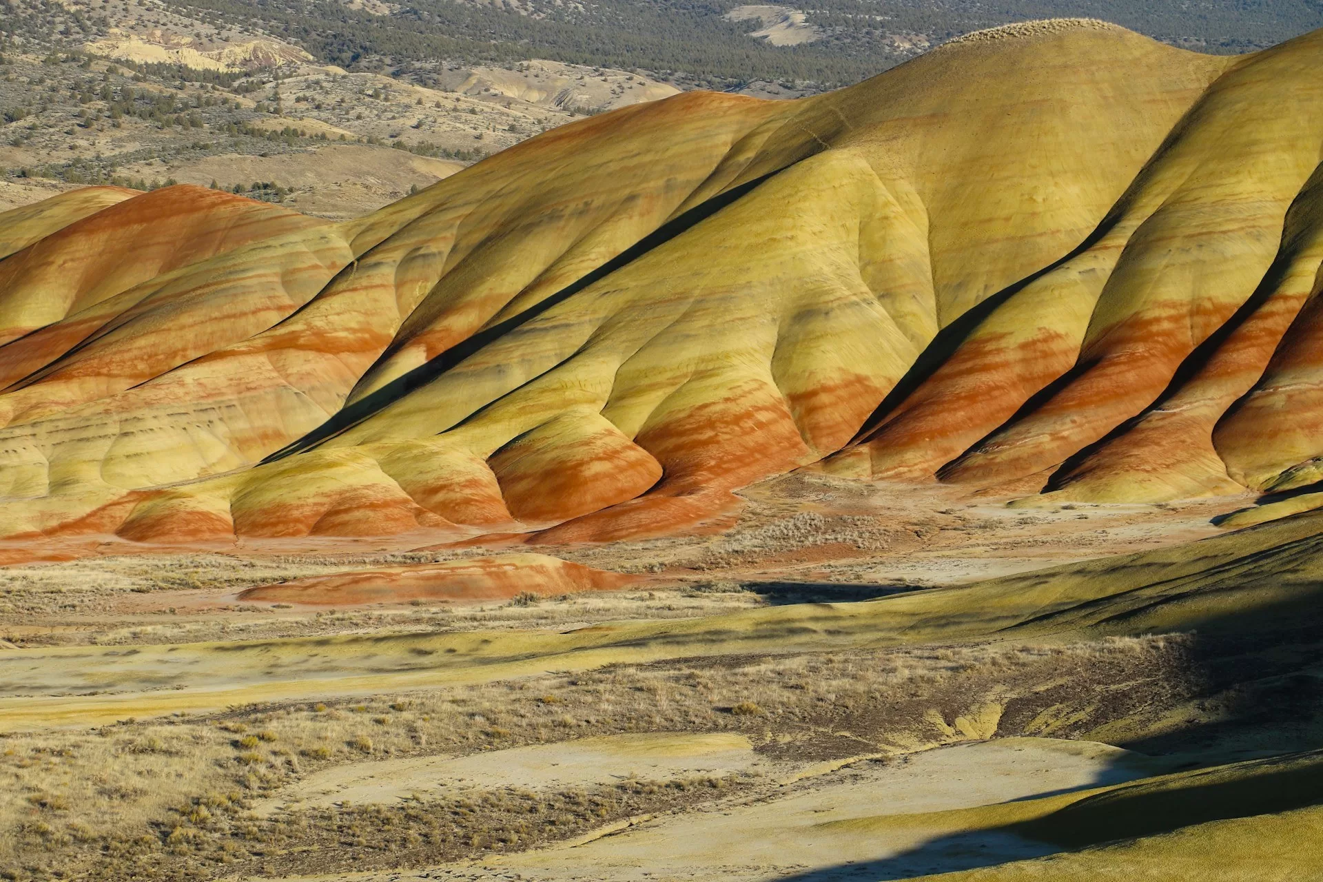 Oranje en geel gekleurde rotsen in het John Day Fossil Beds National Monument in de staat Oregon