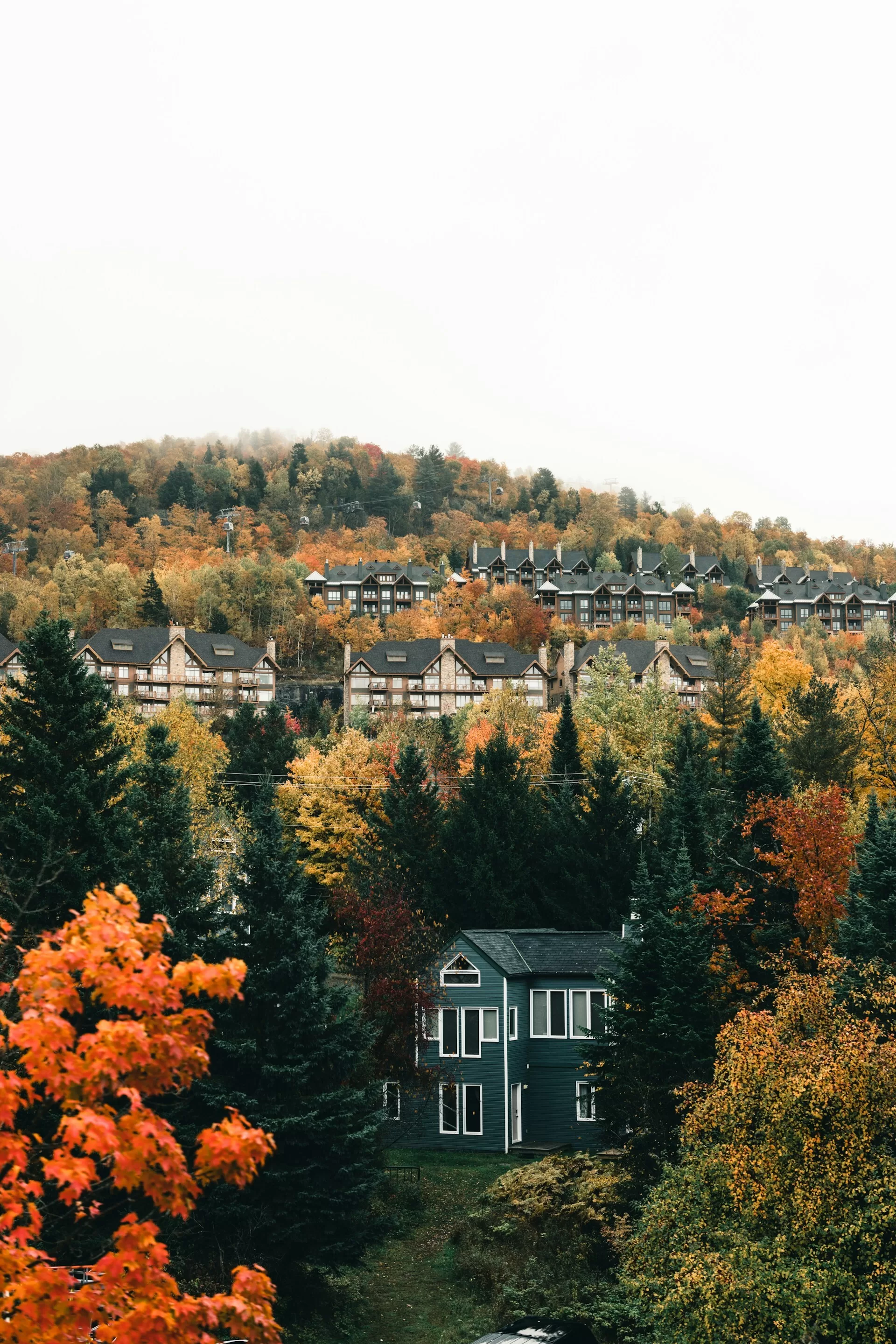 Huizen tussen de gekleurde bossen van Mont Tremblant